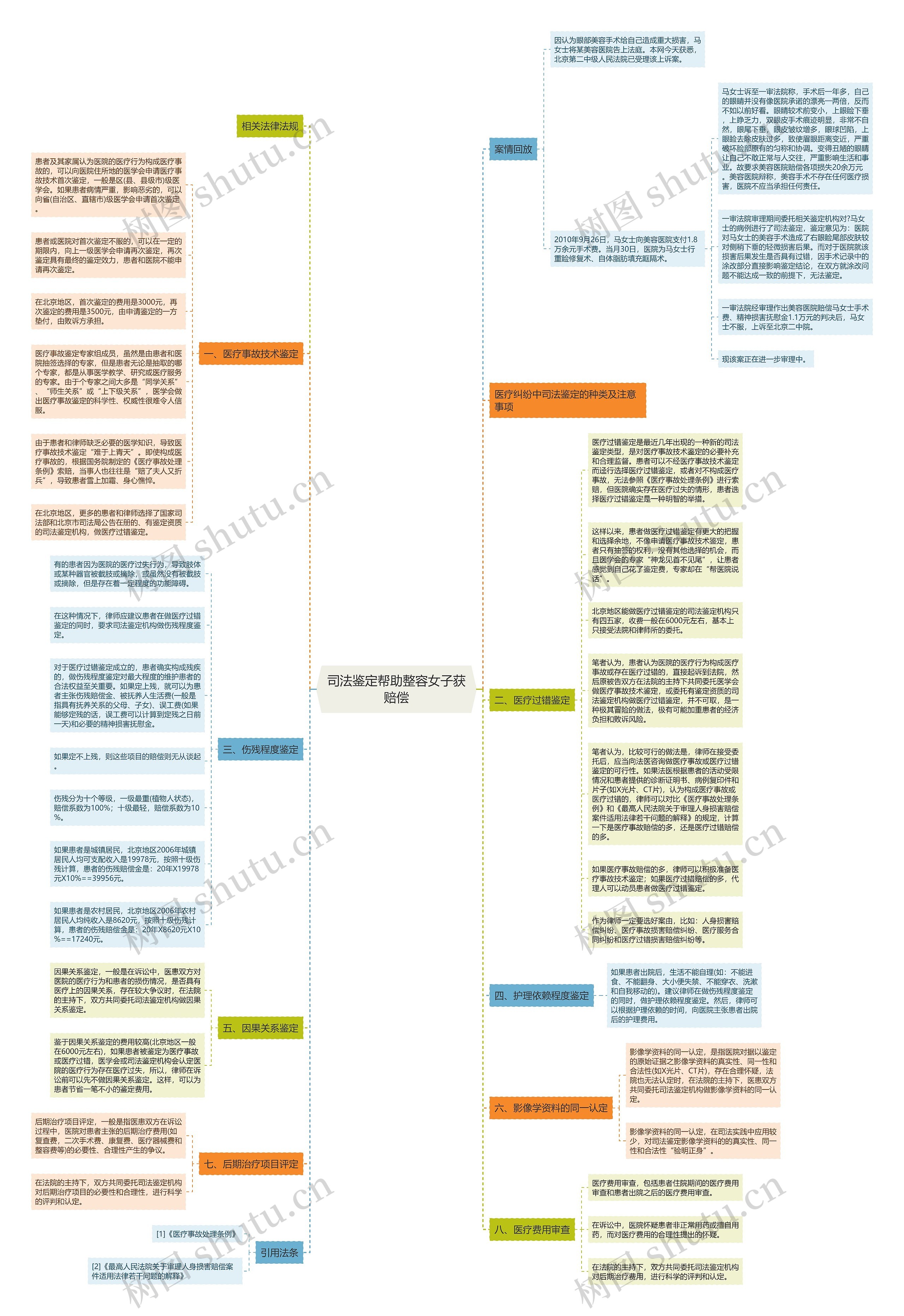 司法鉴定帮助整容女子获赔偿思维导图