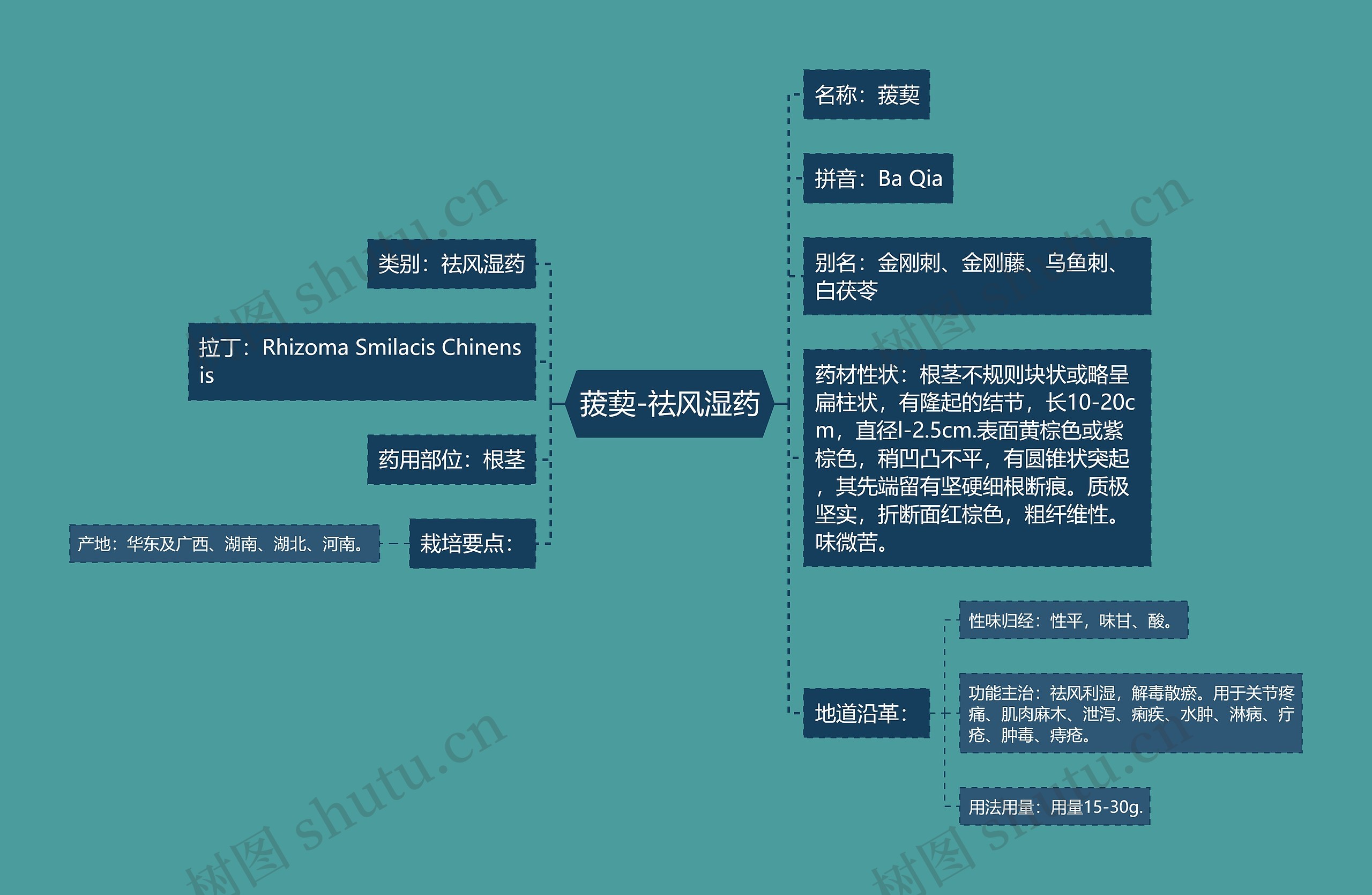 菝葜-祛风湿药思维导图