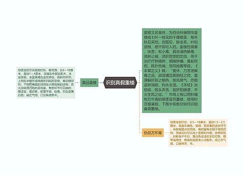 识别真假重楼思维导图