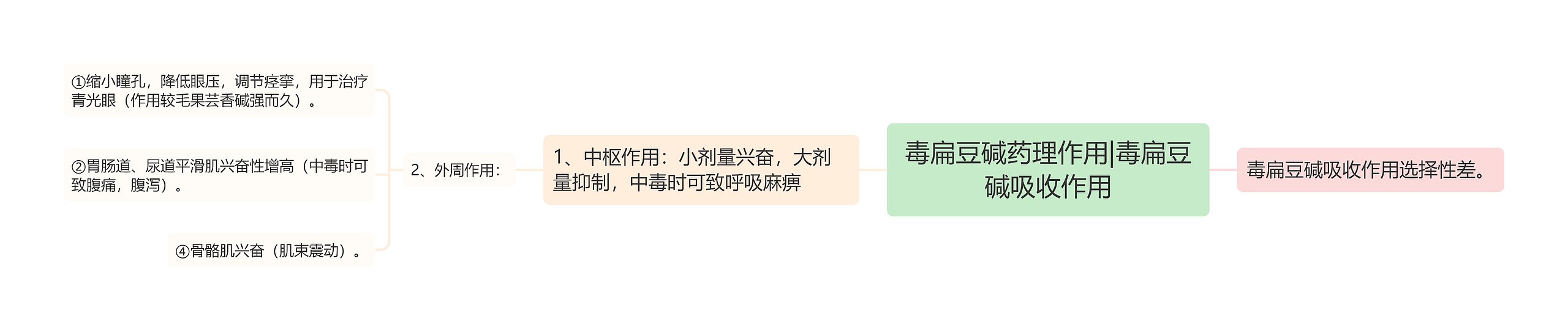 毒扁豆碱药理作用|毒扁豆碱吸收作用思维导图