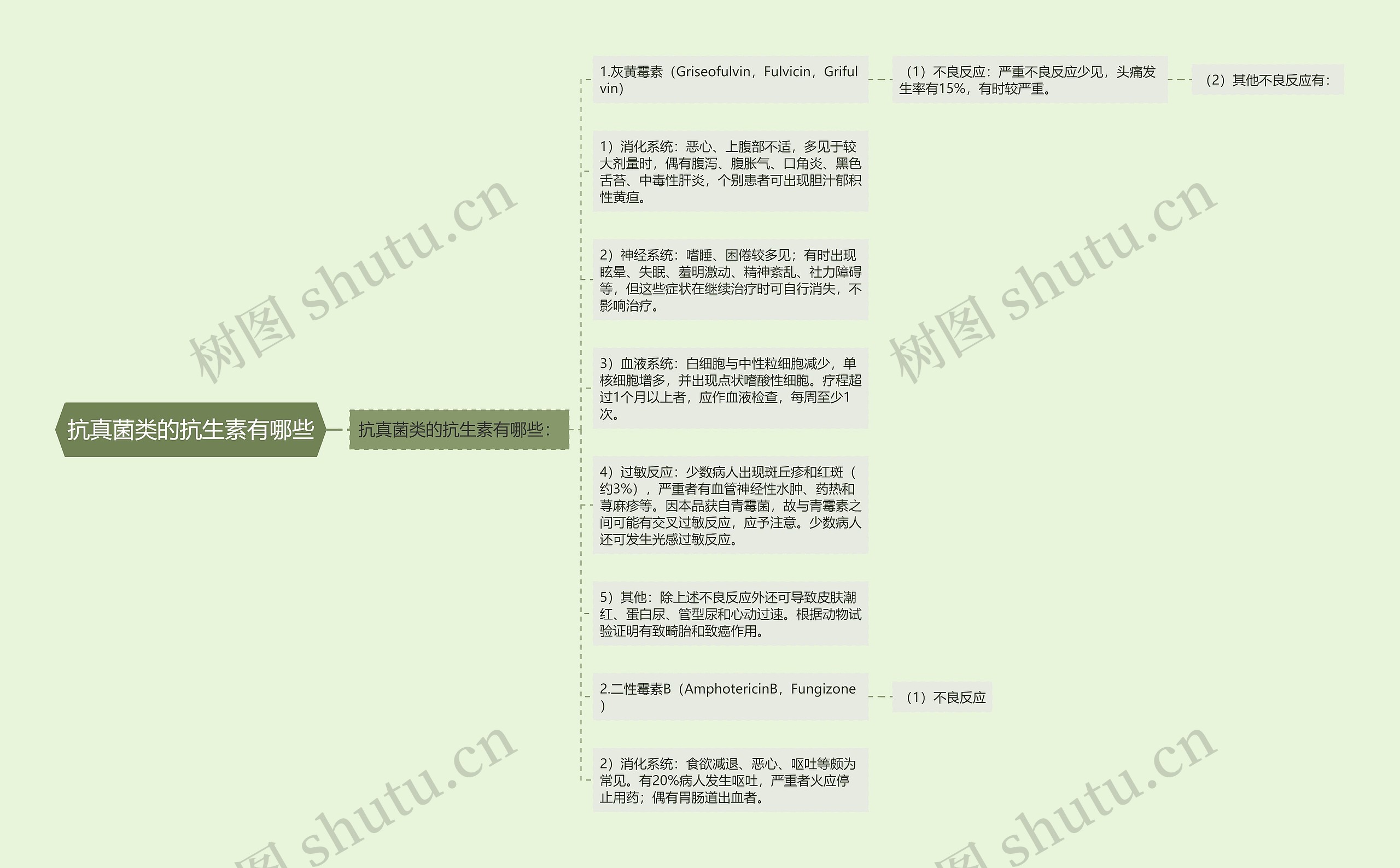 抗真菌类的抗生素有哪些思维导图