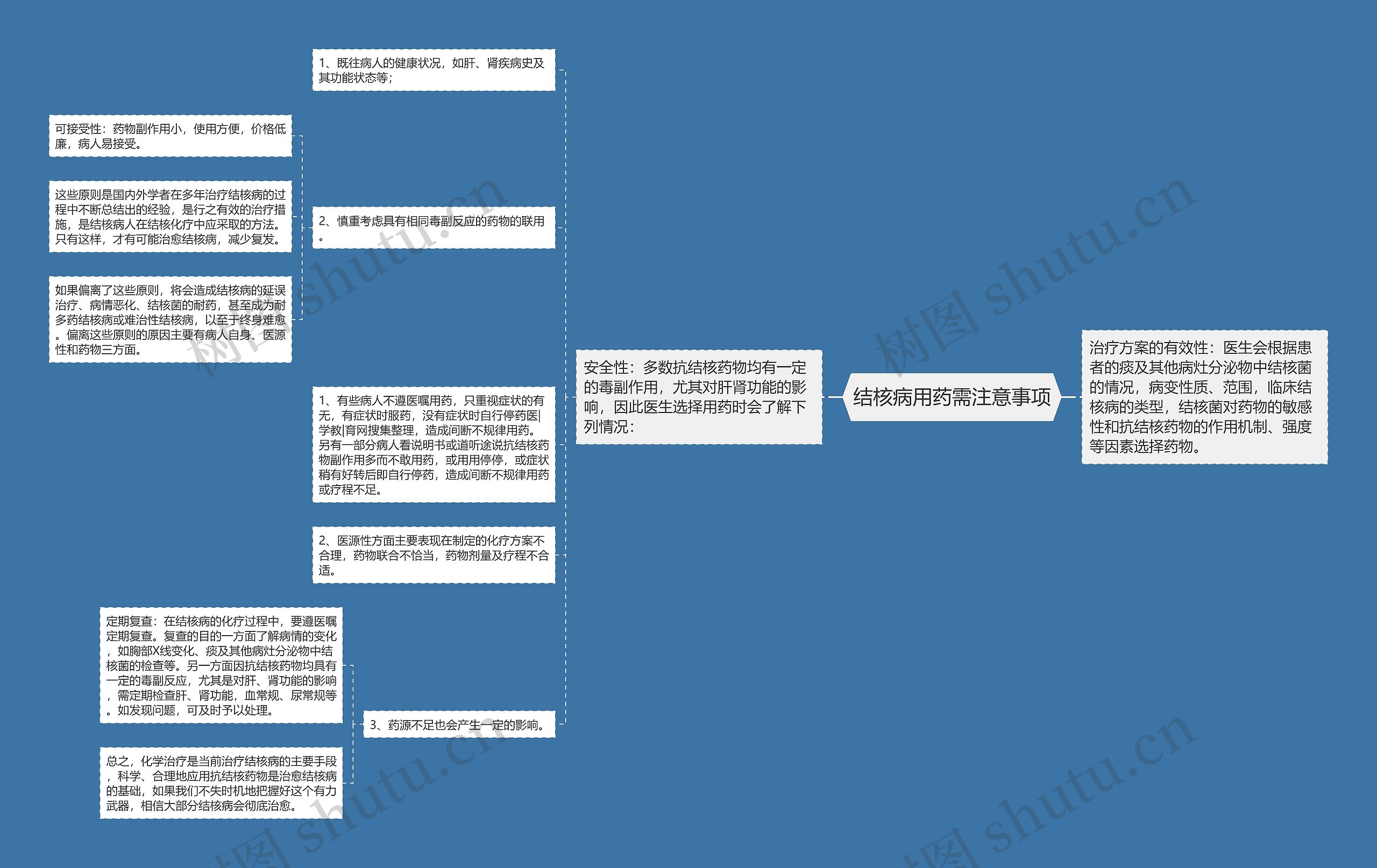 结核病用药需注意事项思维导图
