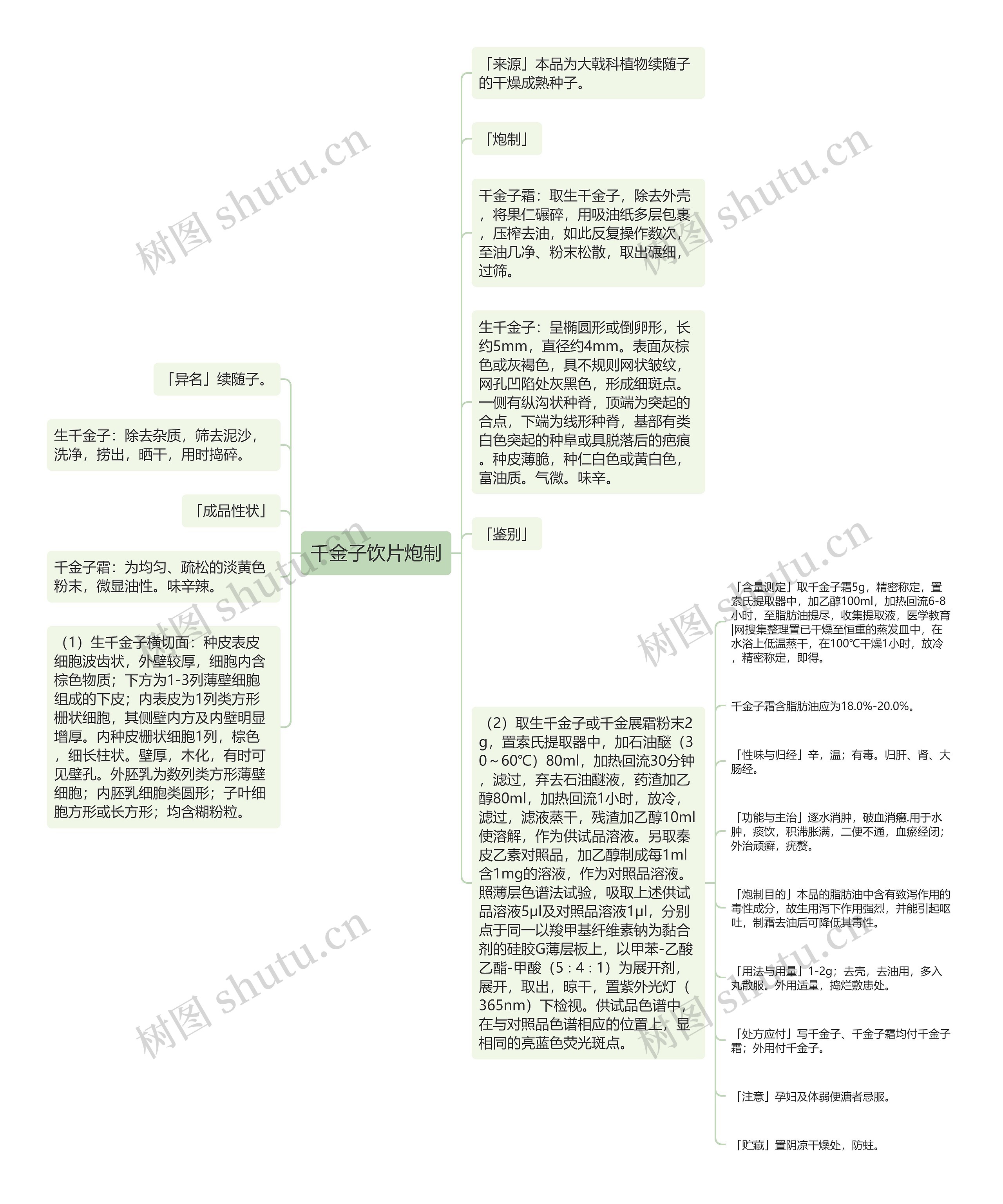 千金子饮片炮制