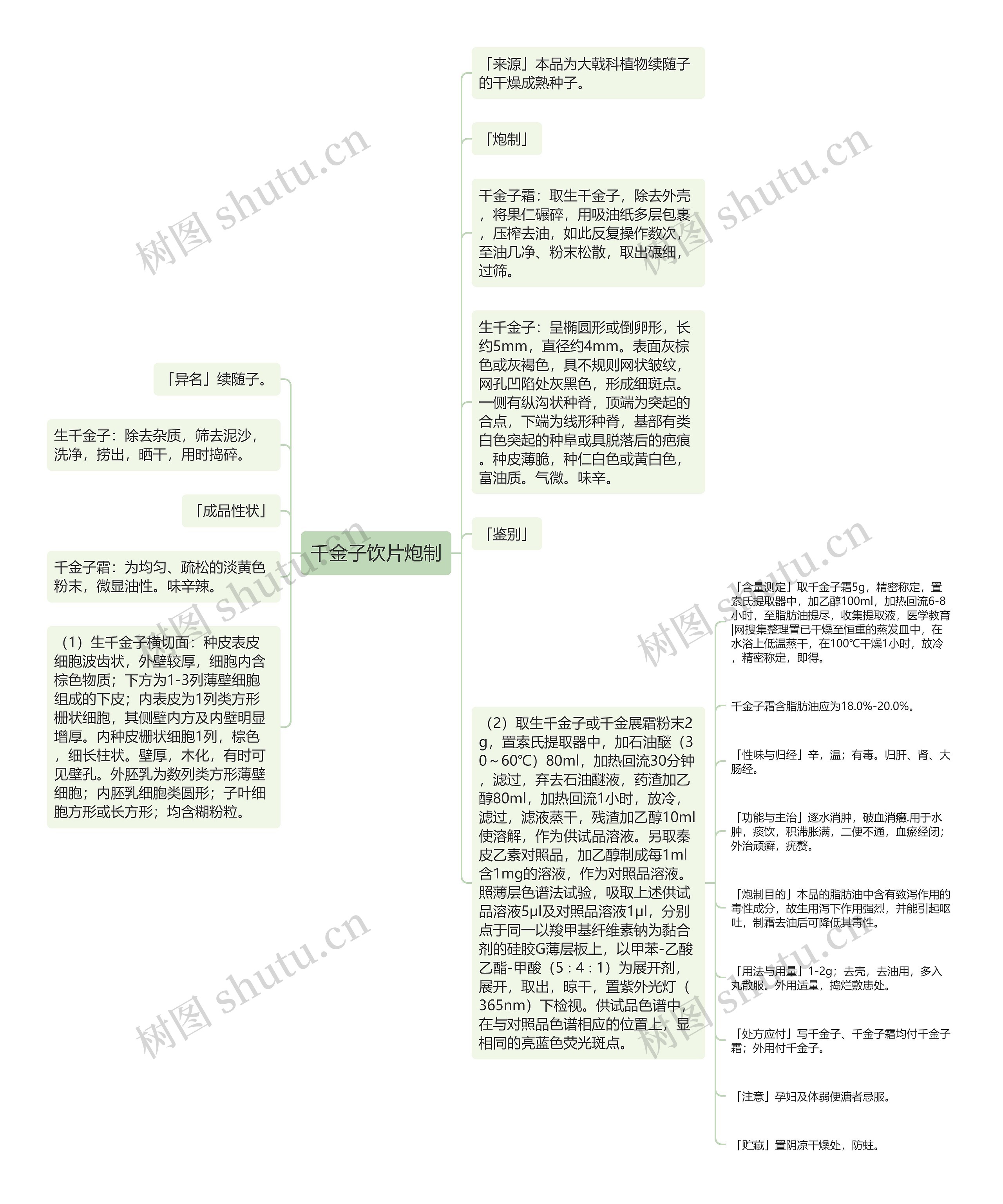 千金子饮片炮制思维导图