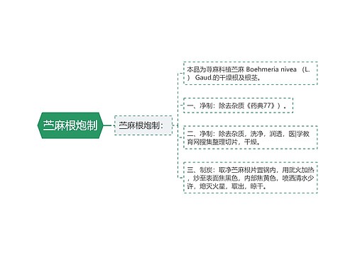 苎麻根炮制