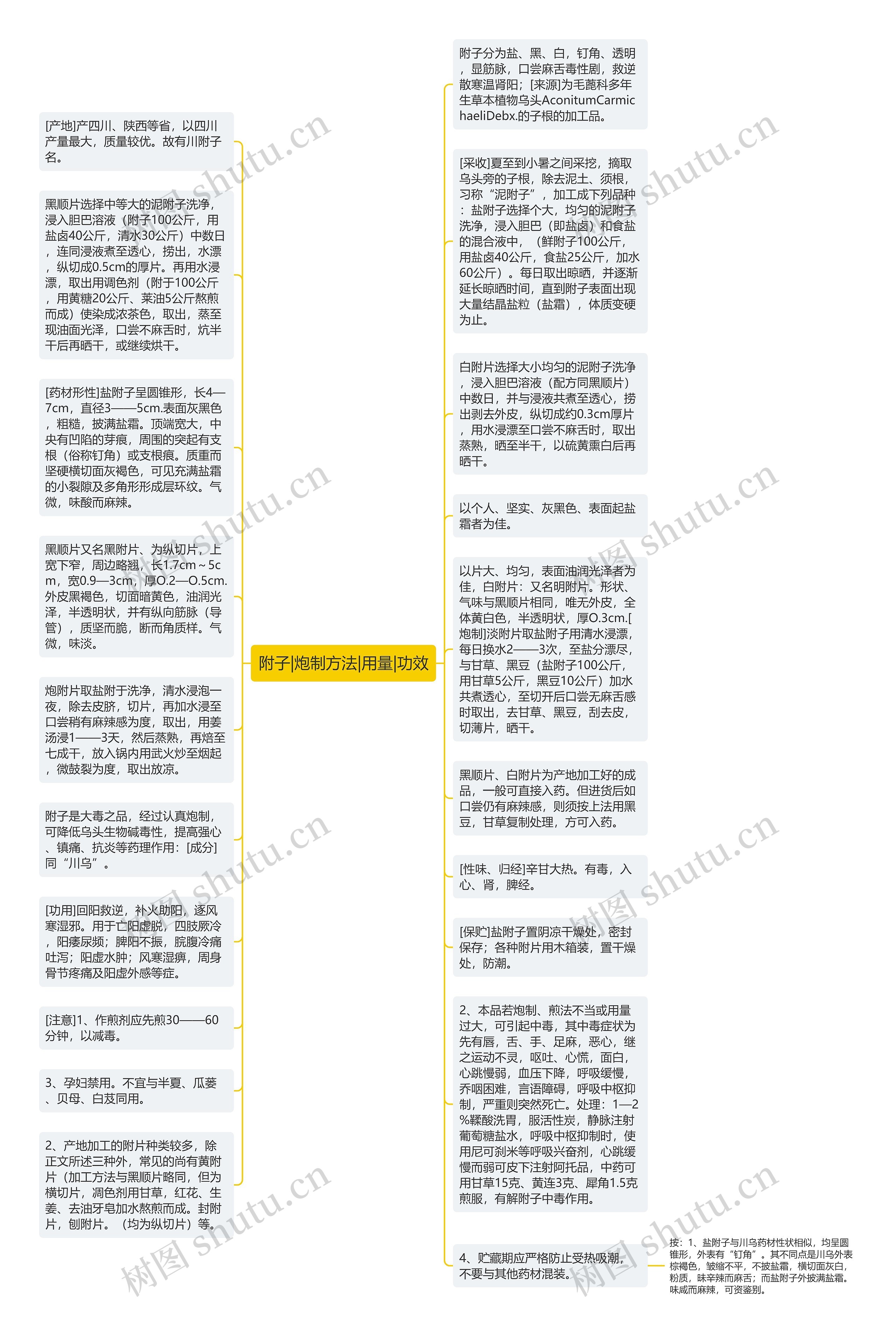 附子|炮制方法|用量|功效思维导图