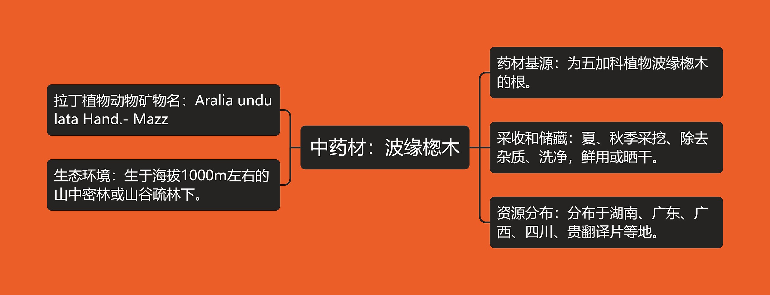 中药材:波缘楤木 中药材:波缘楤木