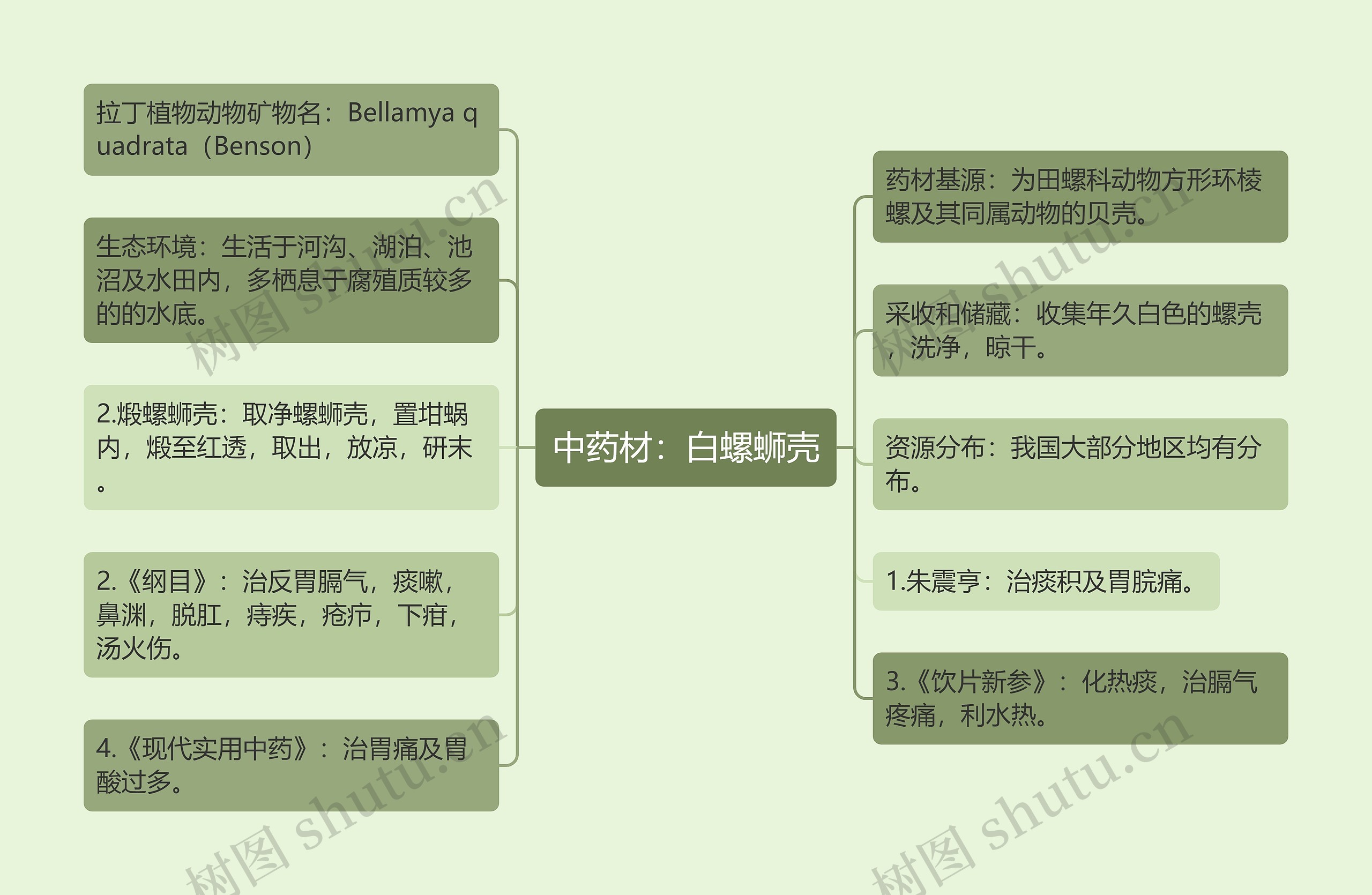 中药材：白螺蛳壳