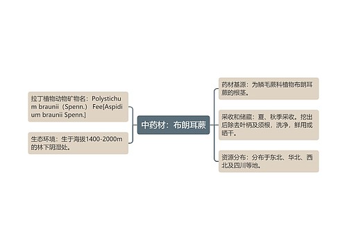 中药材：布朗耳蕨