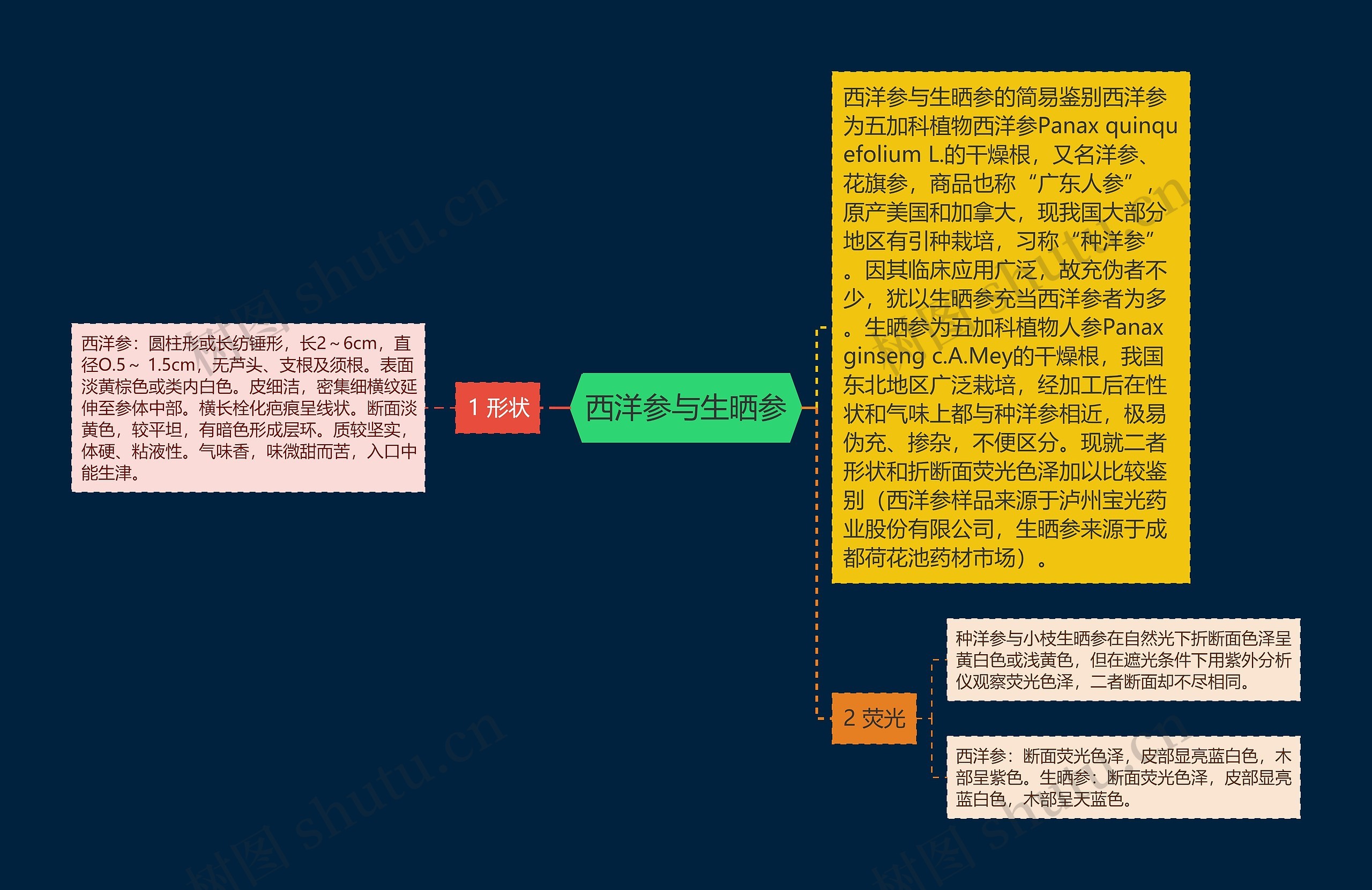 西洋参与生晒参思维导图