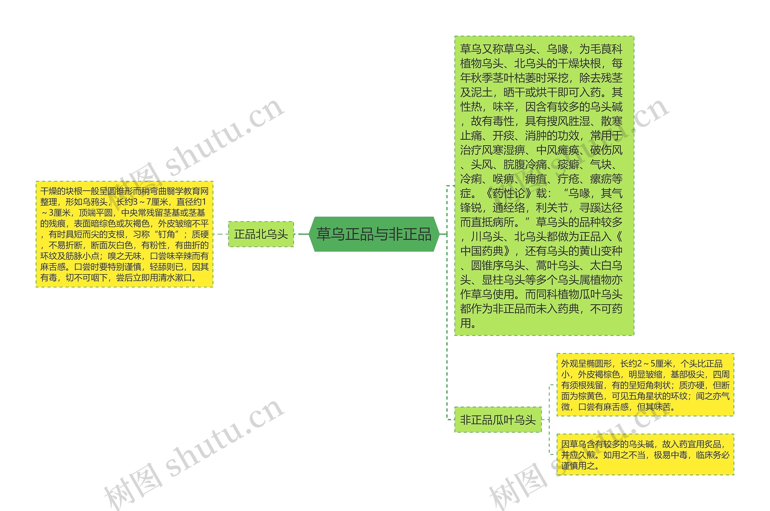 草乌正品与非正品思维导图