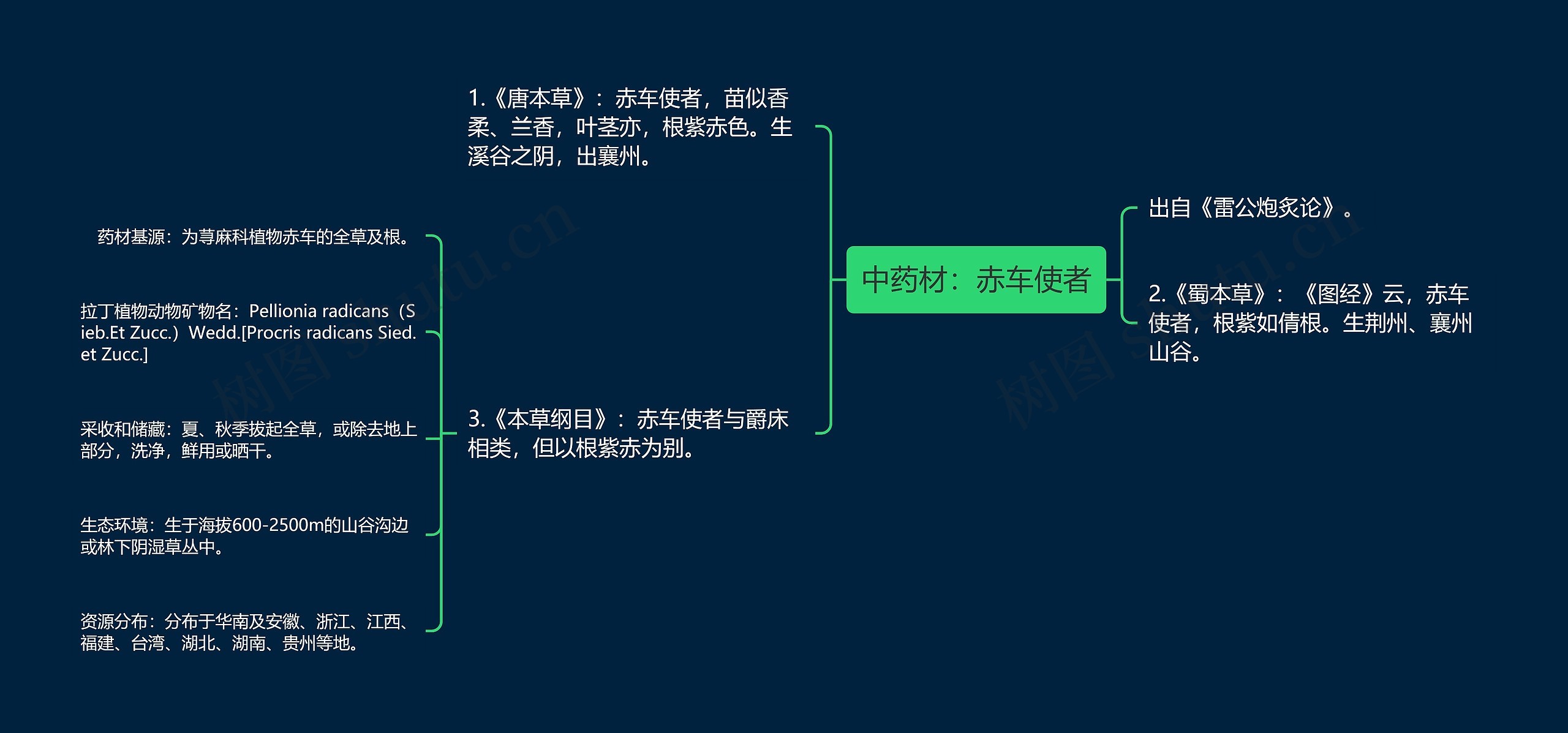 中药材：赤车使者思维导图