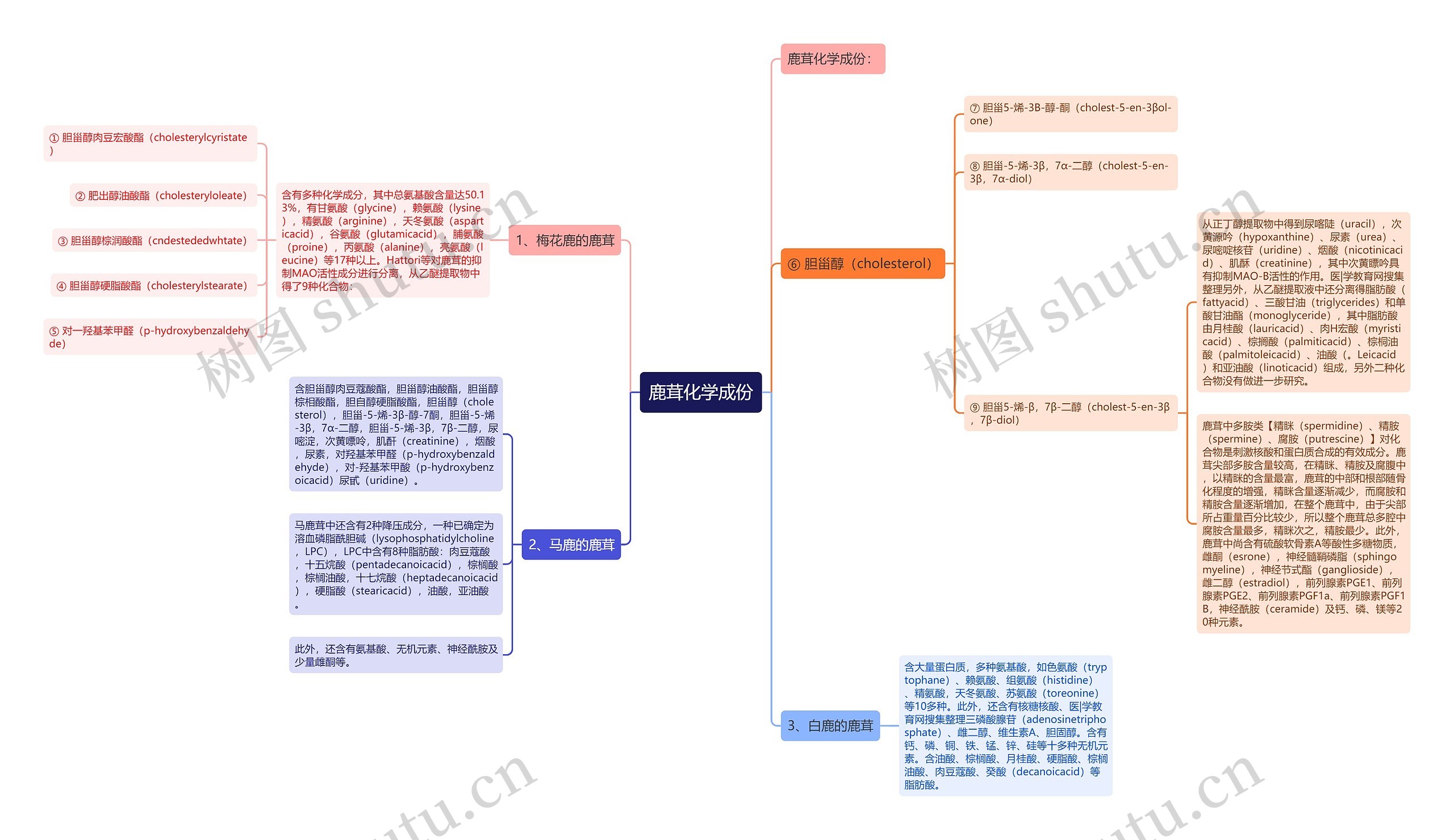 鹿茸化学成份思维导图