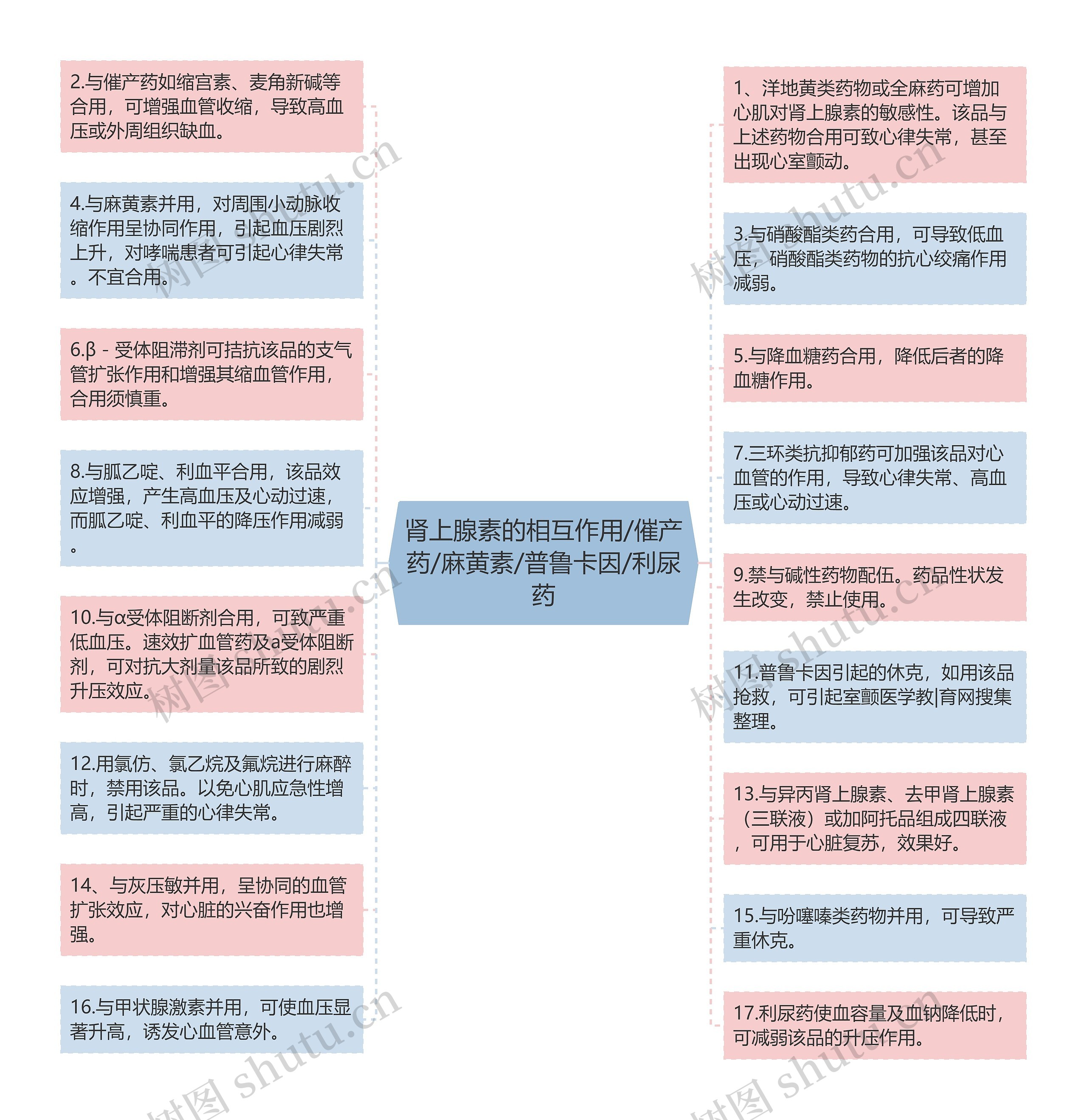 肾上腺素的相互作用/催产药/麻黄素/普鲁卡因/利尿药思维导图