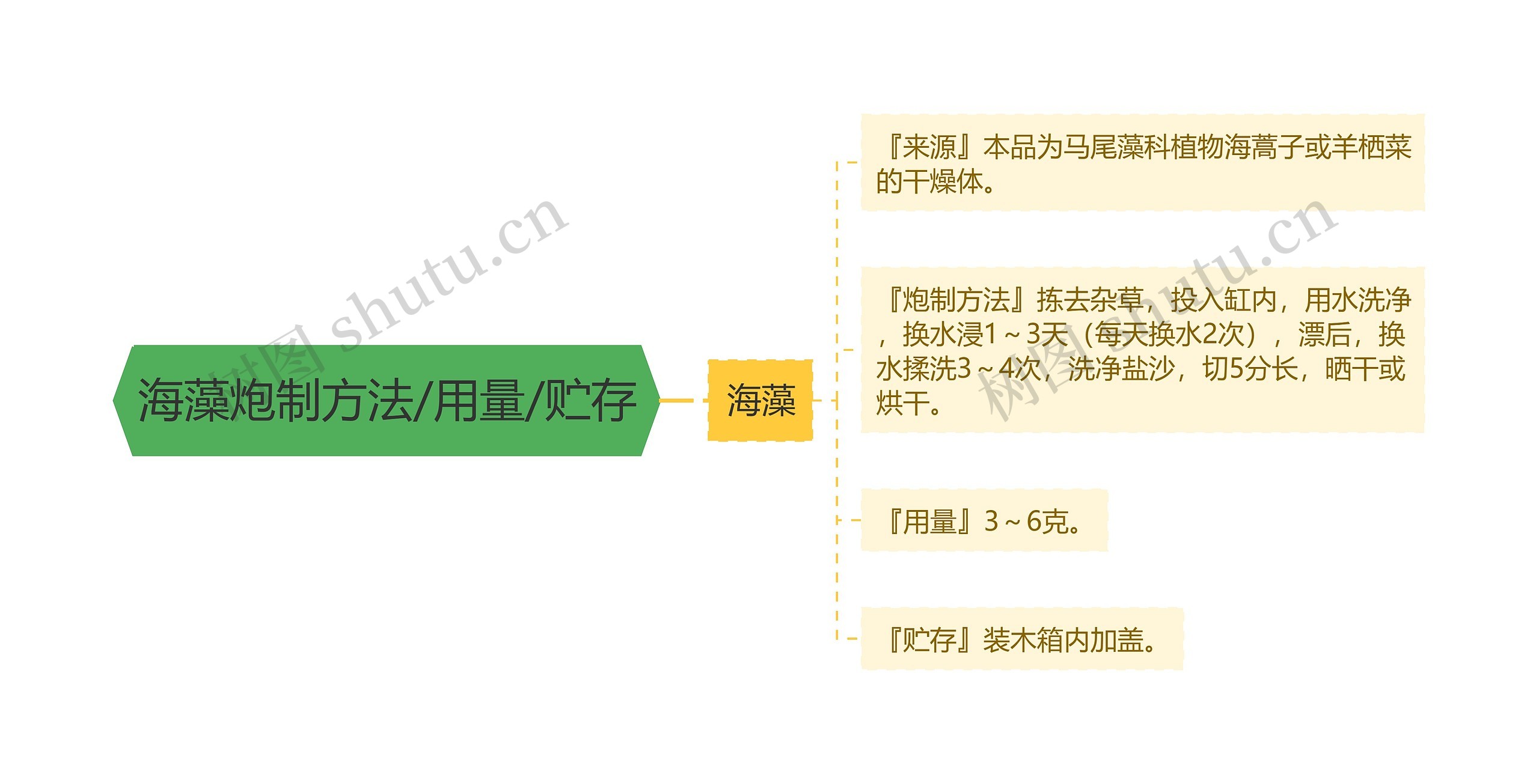 海藻炮制方法/用量/贮存思维导图