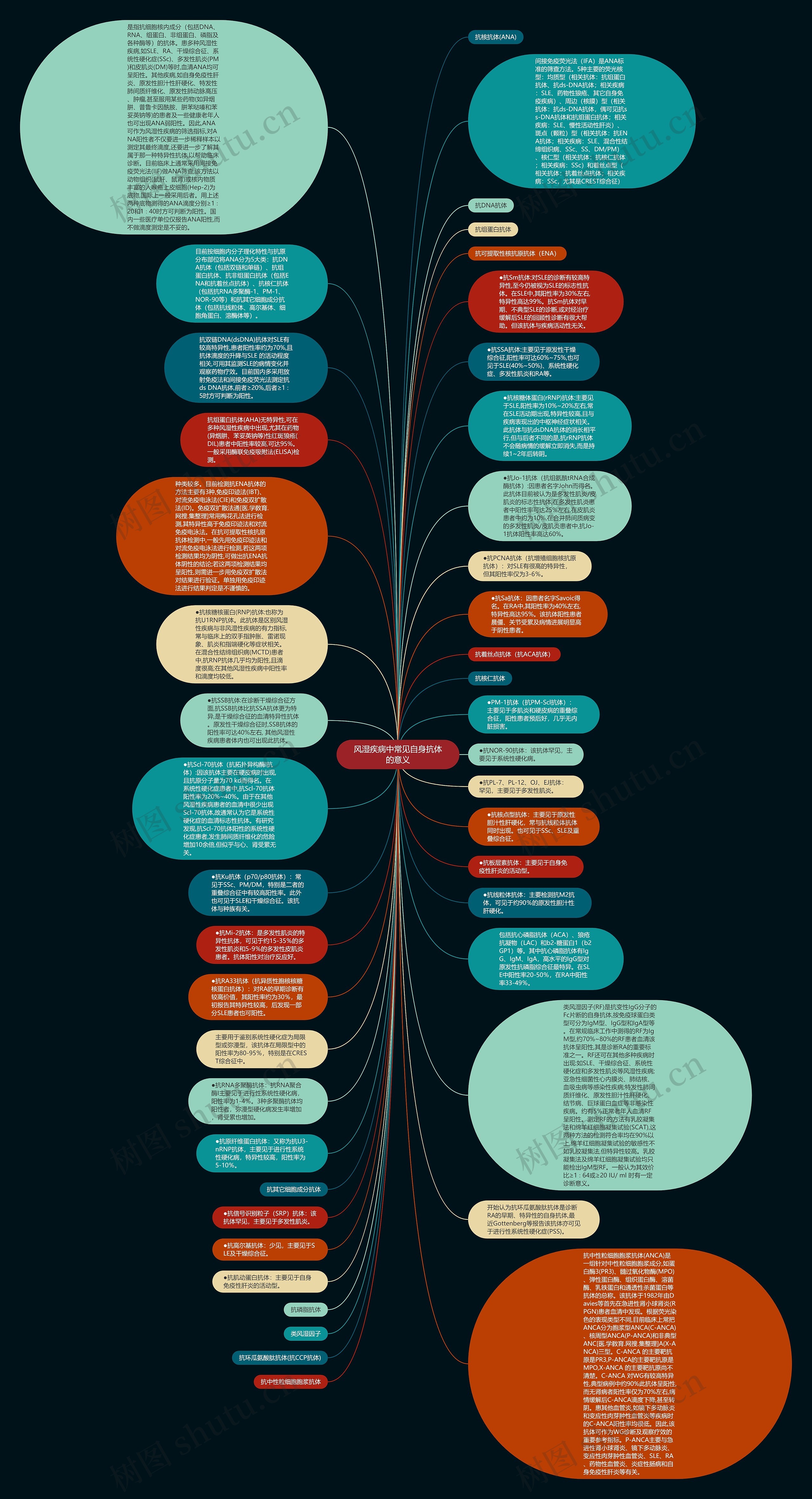 风湿疾病中常见自身抗体的意义思维导图