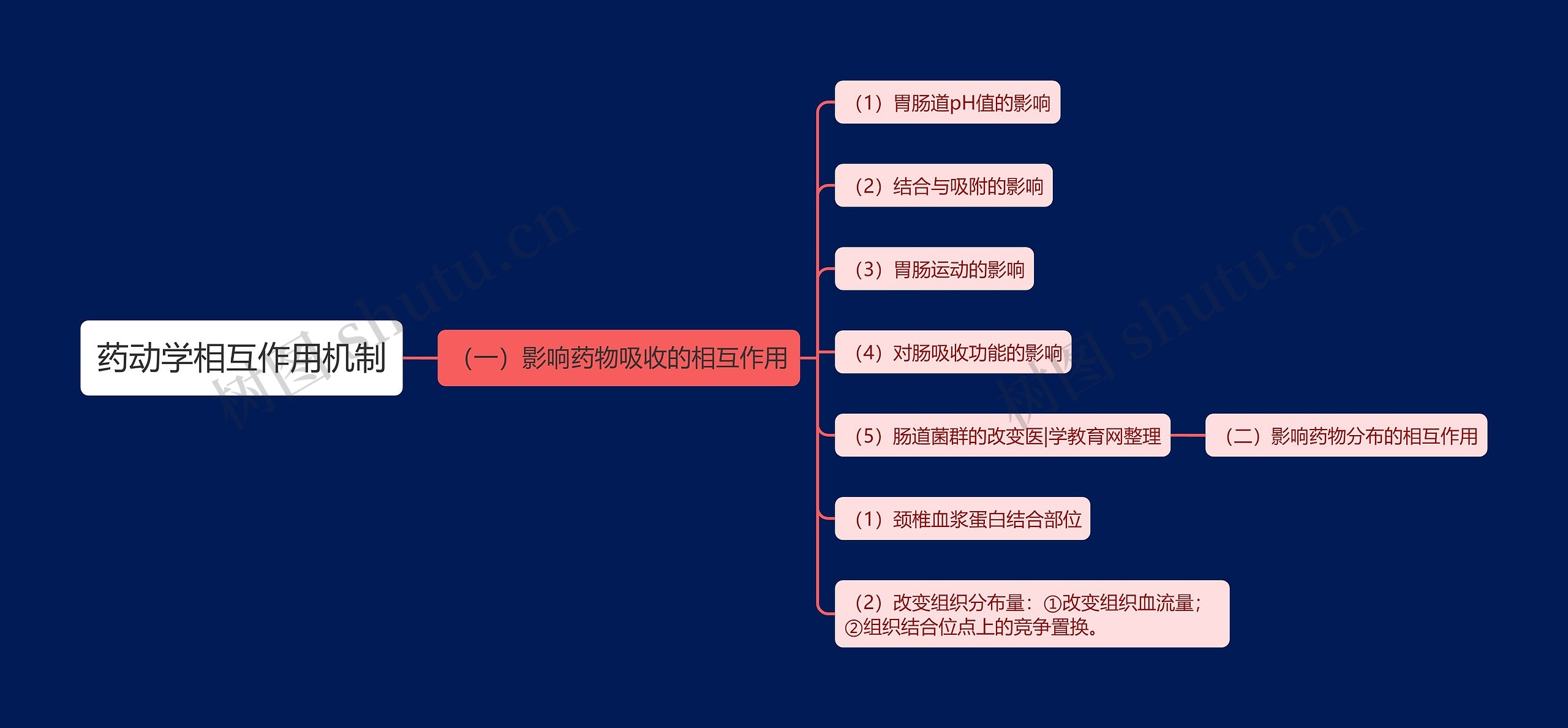 药动学相互作用机制思维导图