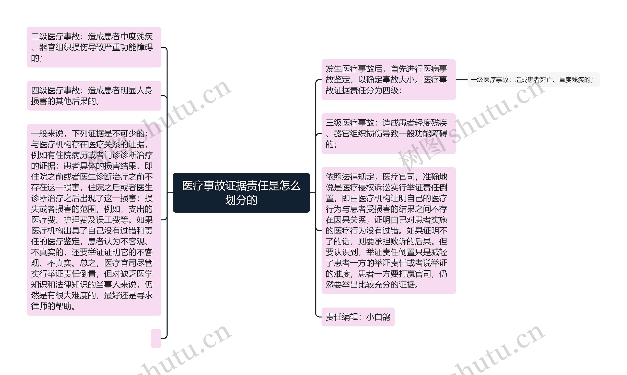 医疗事故证据责任是怎么划分的思维导图