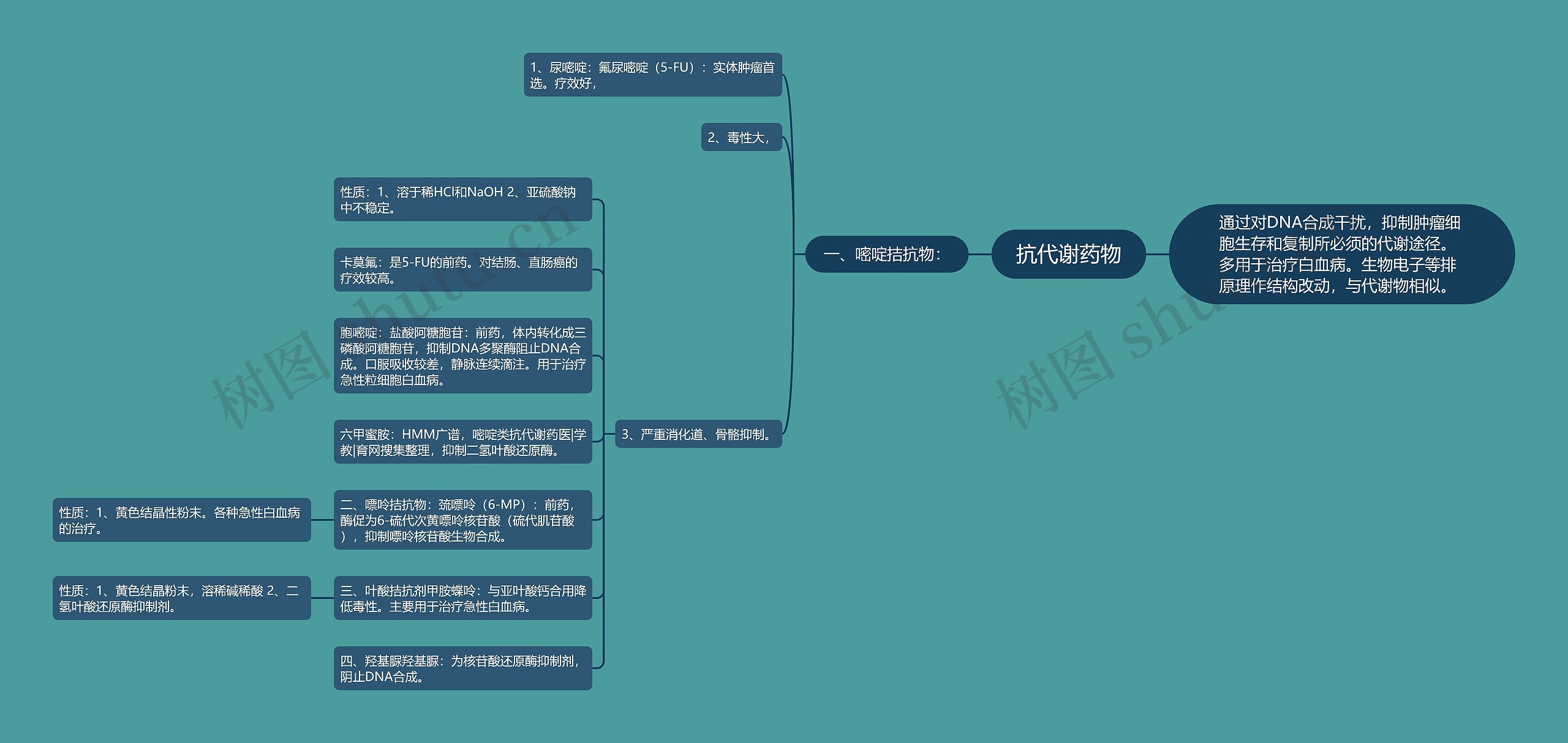 抗代谢药物思维导图