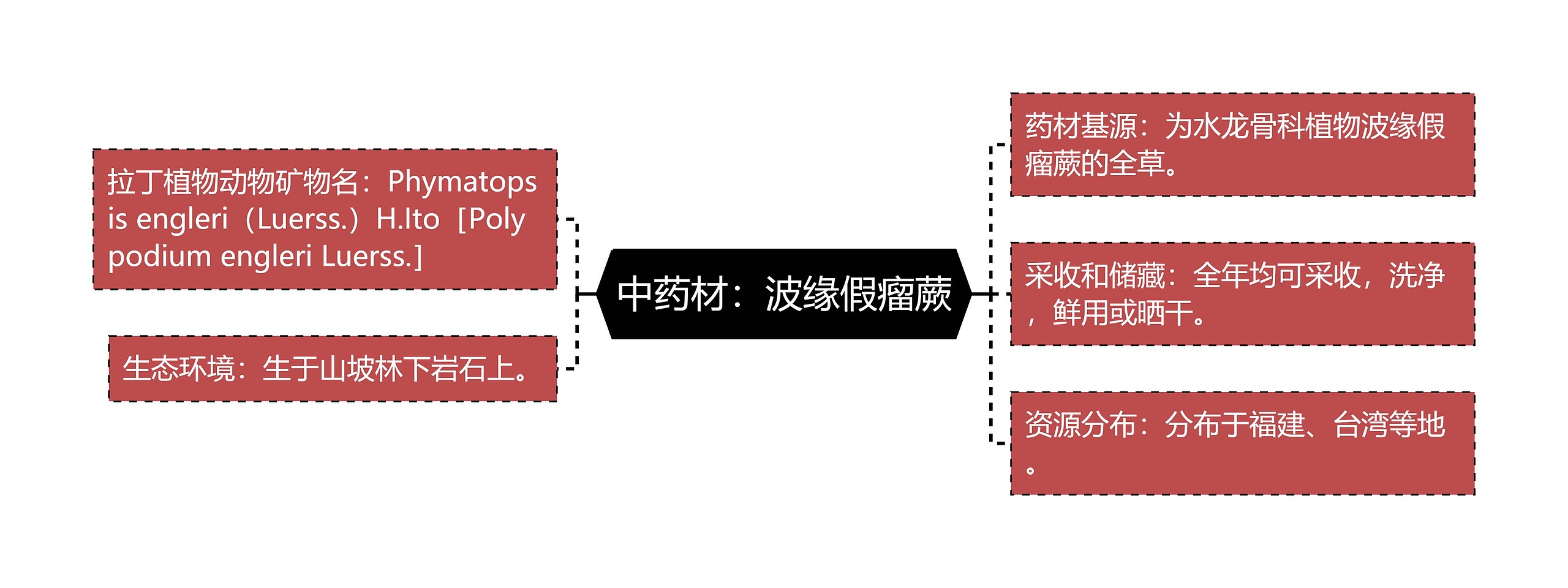 中药材：波缘假瘤蕨思维导图