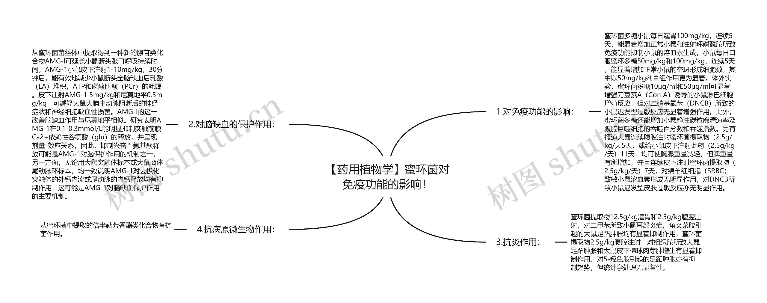 【药用植物学】蜜环菌对免疫功能的影响！