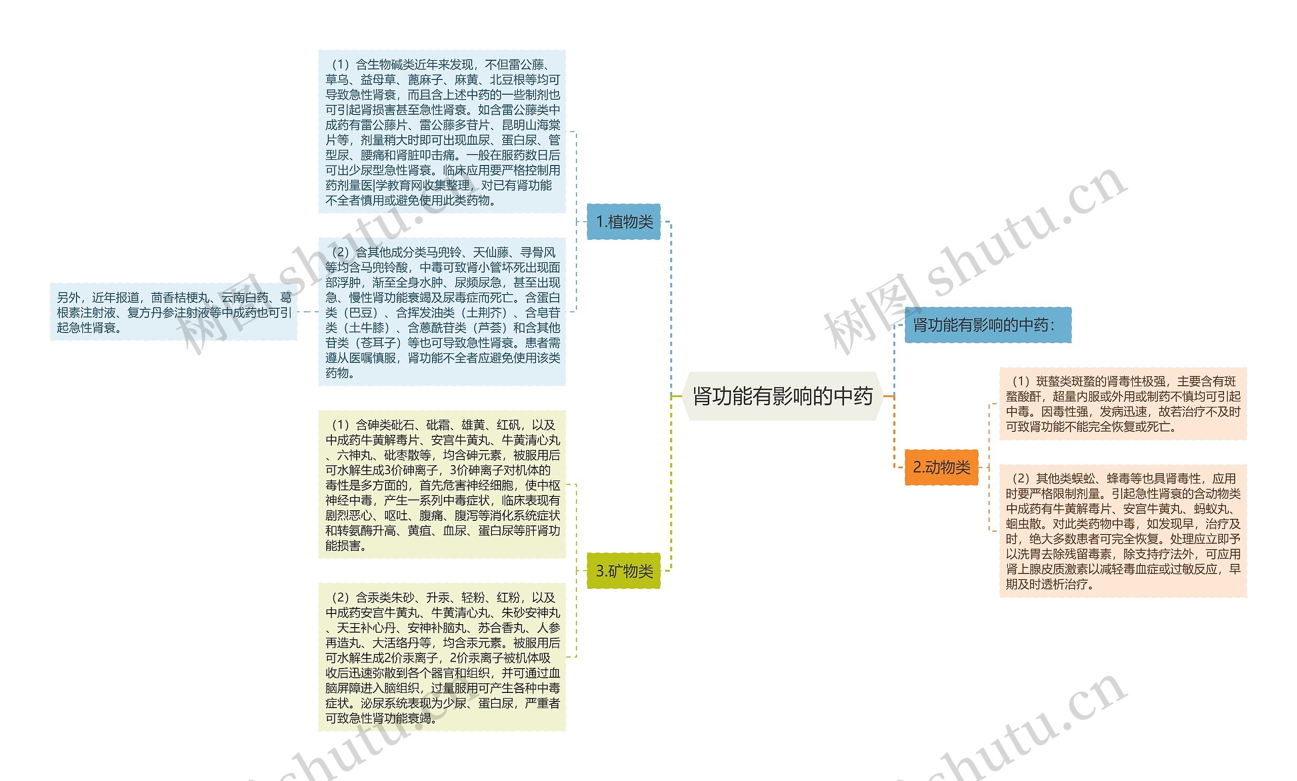 肾功能有影响的中药思维导图