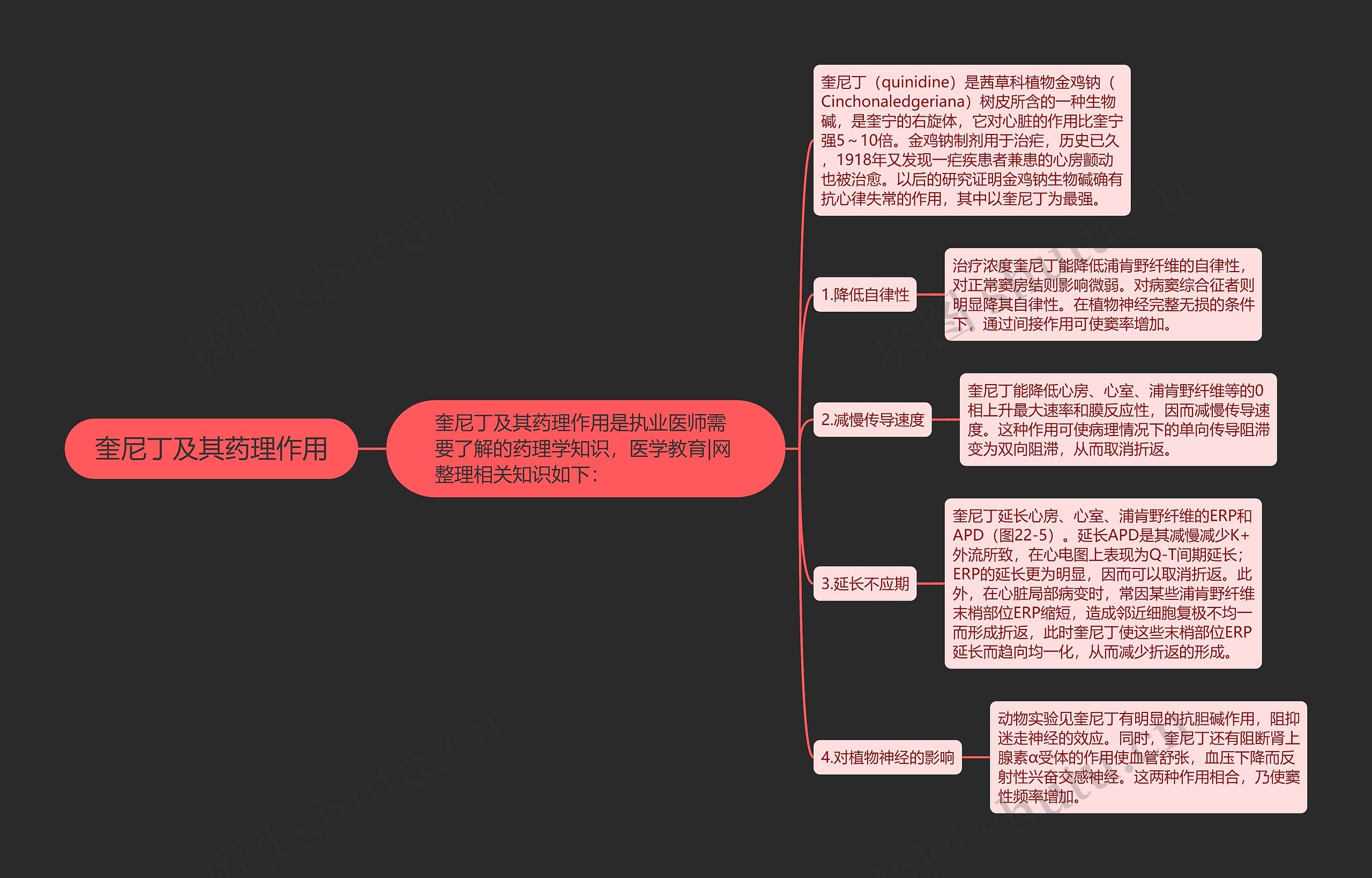 奎尼丁及其药理作用 奎尼丁及其药理作用
