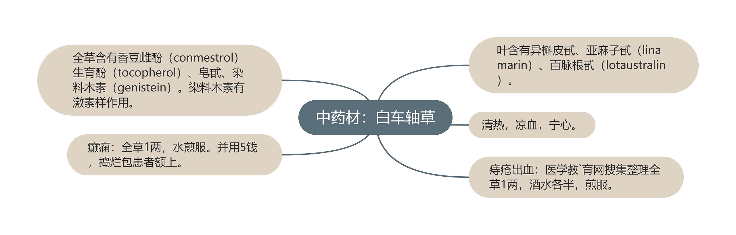 中药材:白车轴草 中药材:白车轴草