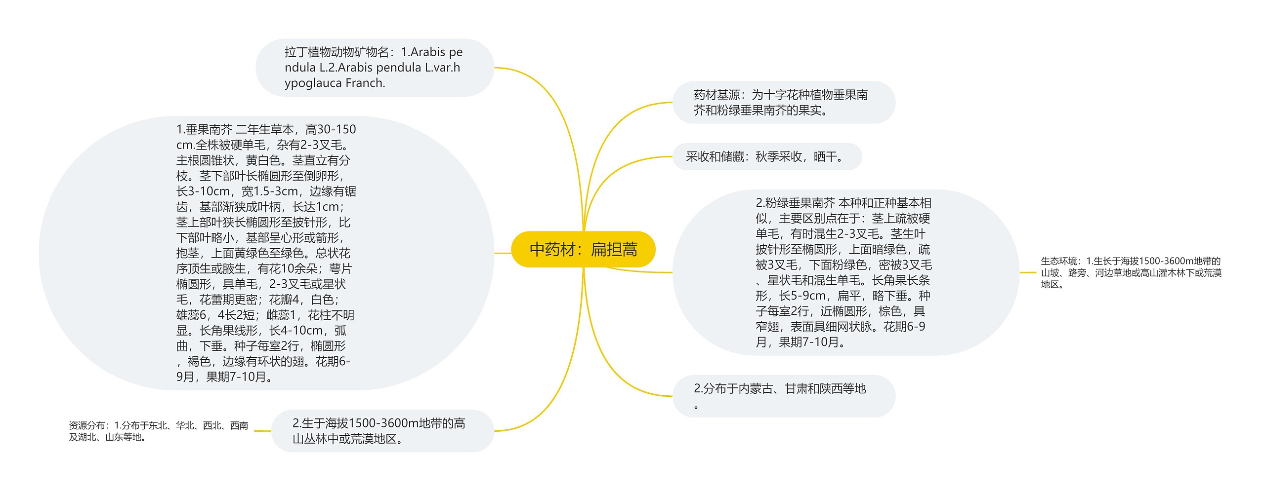 中药材：扁担蒿思维导图