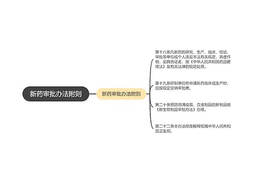 新药审批办法附则