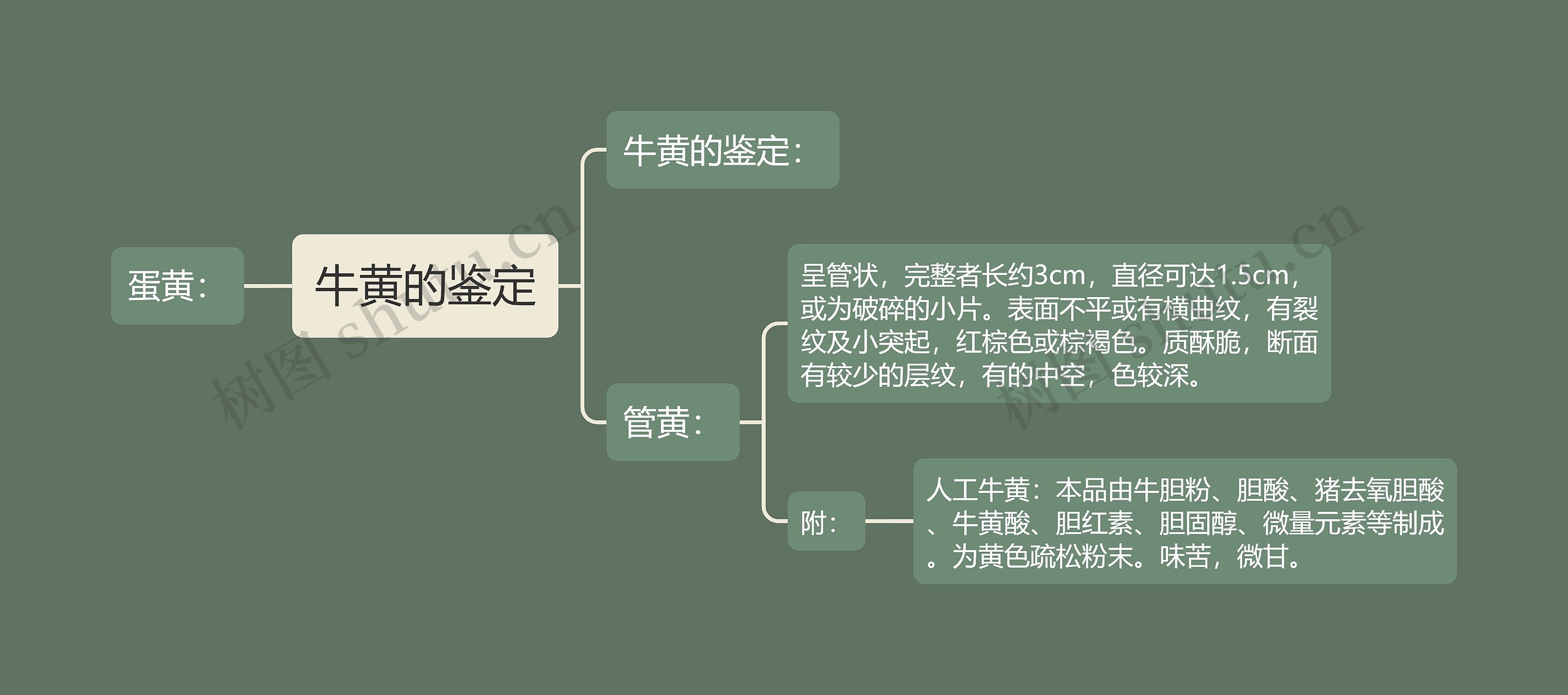 牛黄的鉴定思维导图