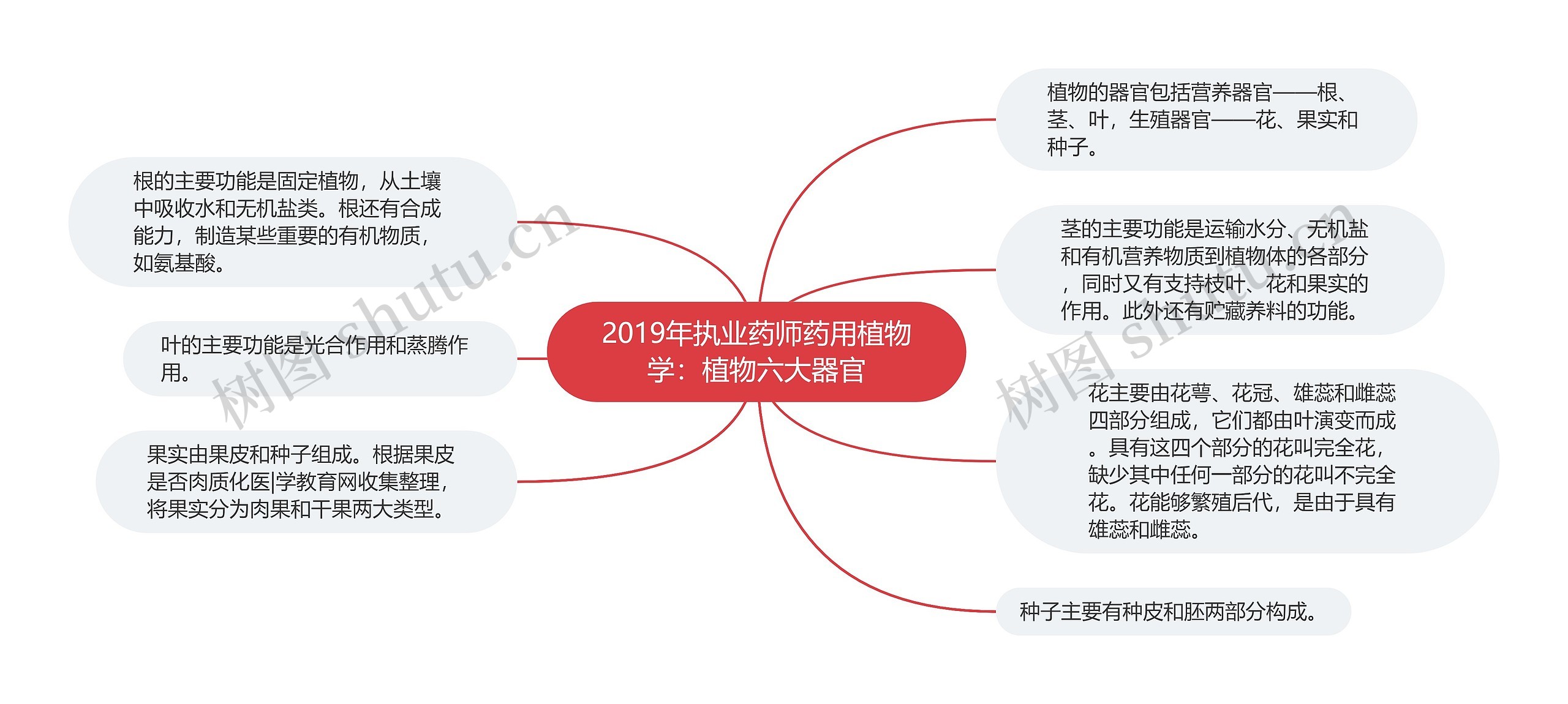 2019年执业药师药用植物学：植物六大器官