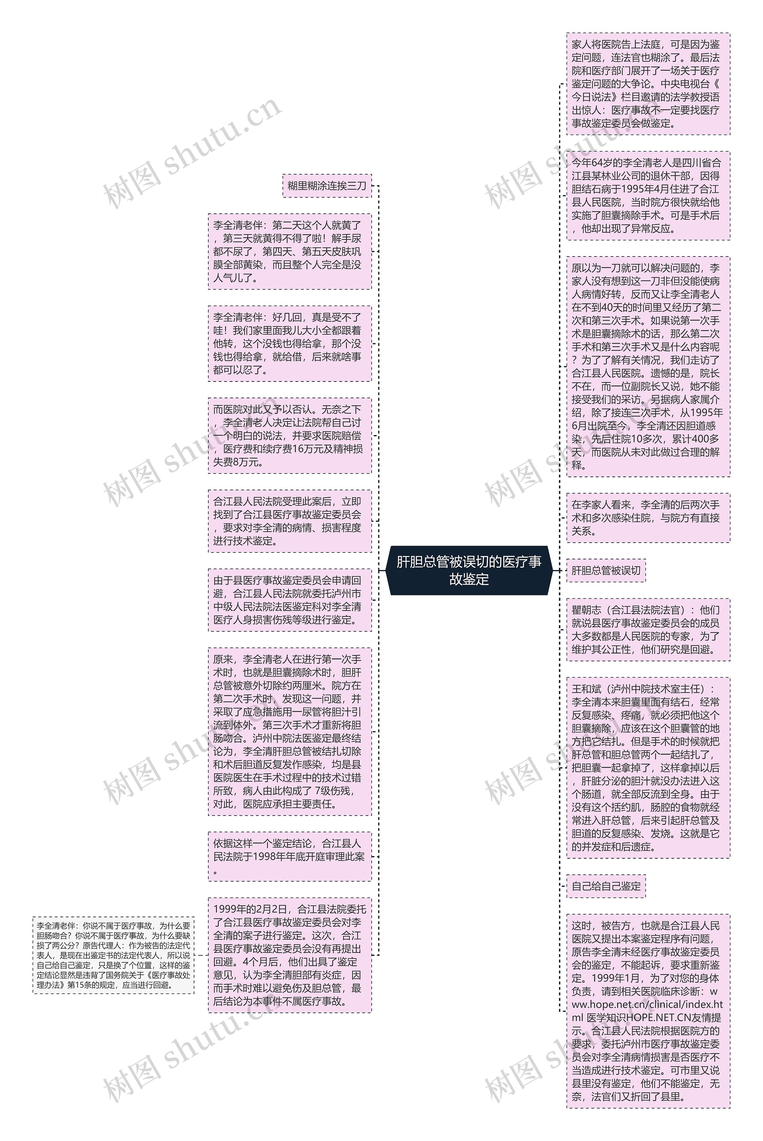 肝胆总管被误切的医疗事故鉴定