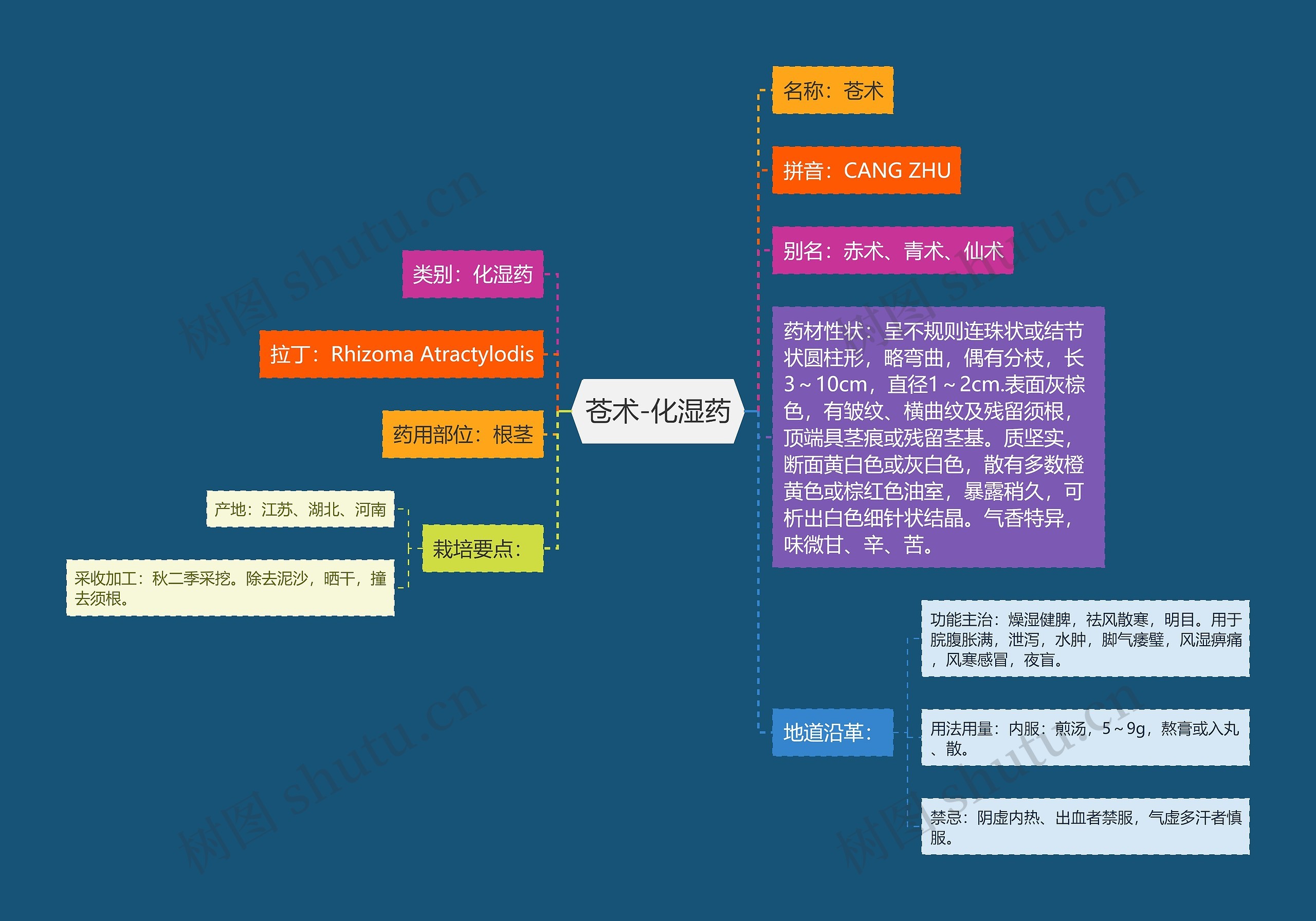 苍术-化湿药思维导图