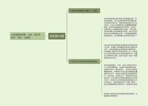 右归丸介绍