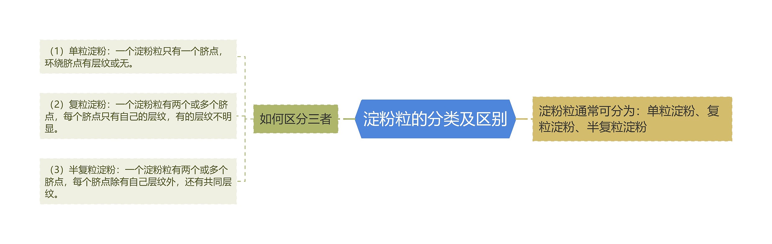 淀粉粒的分类及区别 淀粉粒的分类及区别