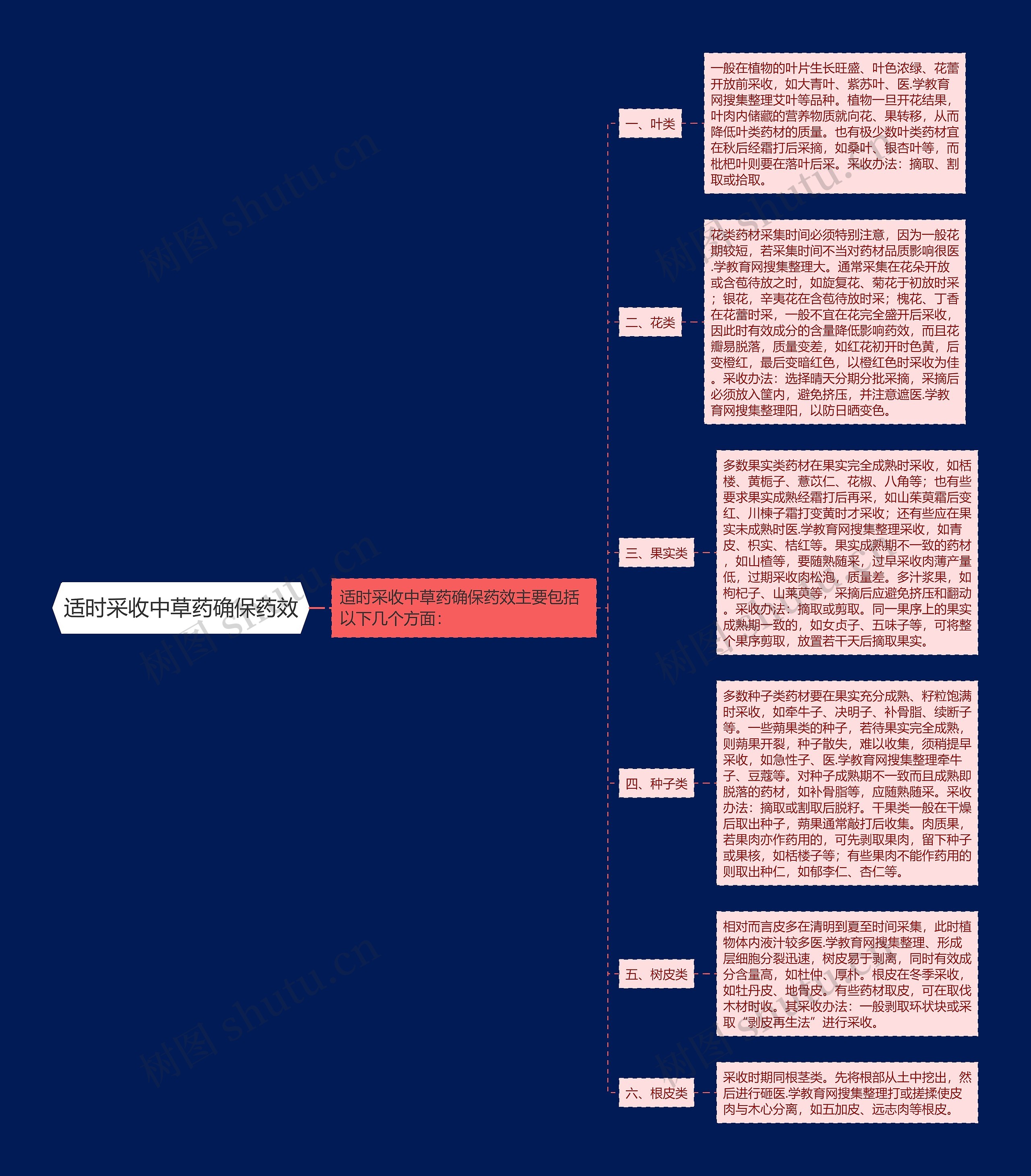 适时采收中草药确保药效思维导图