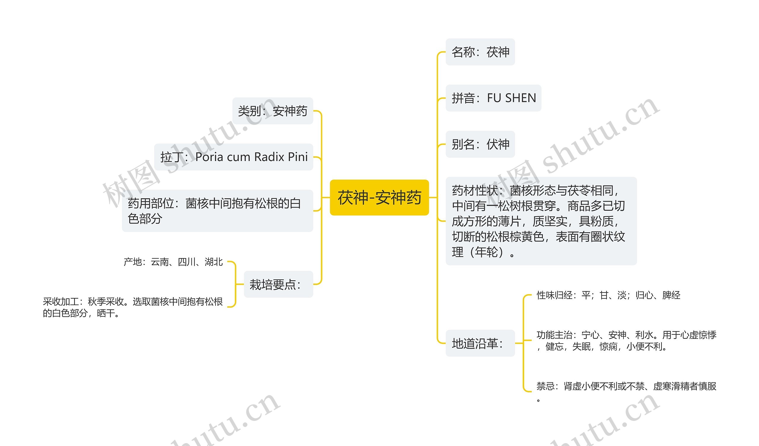 茯神-安神药 茯神-安神药