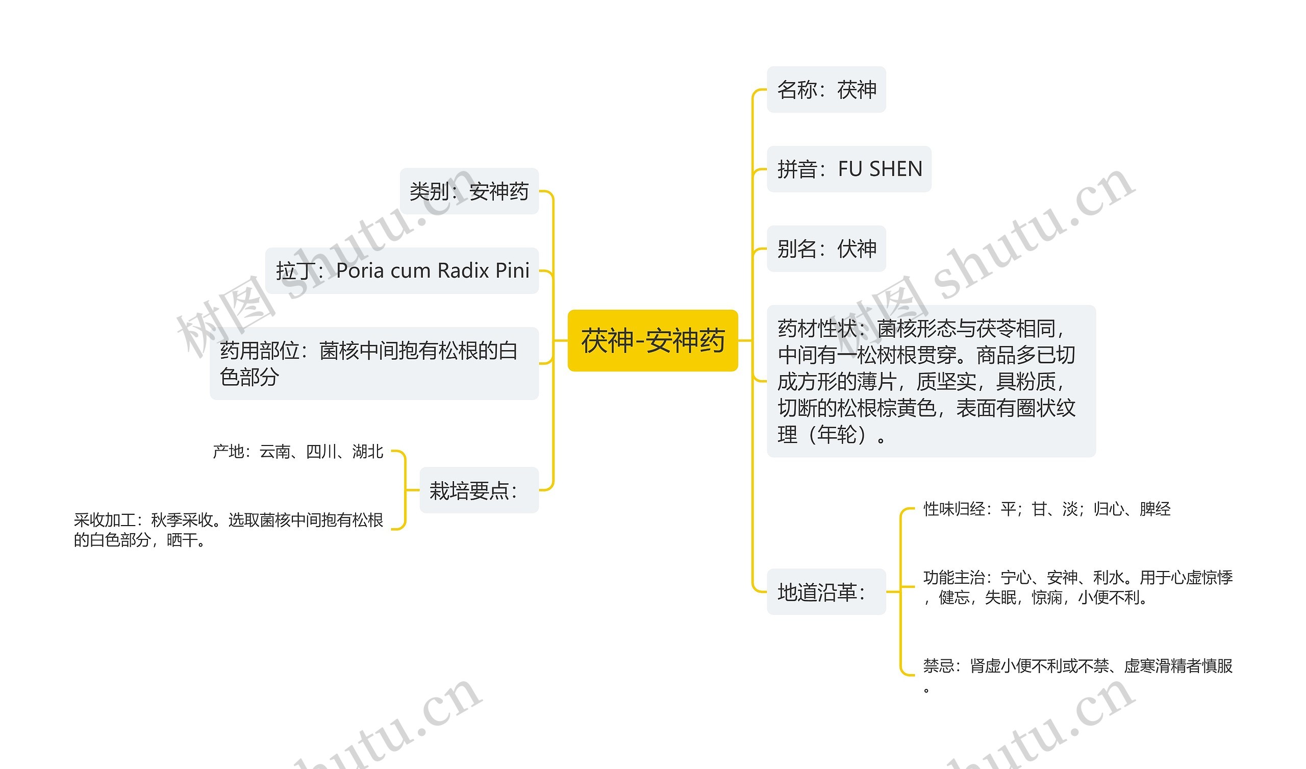 茯神-安神药思维导图
