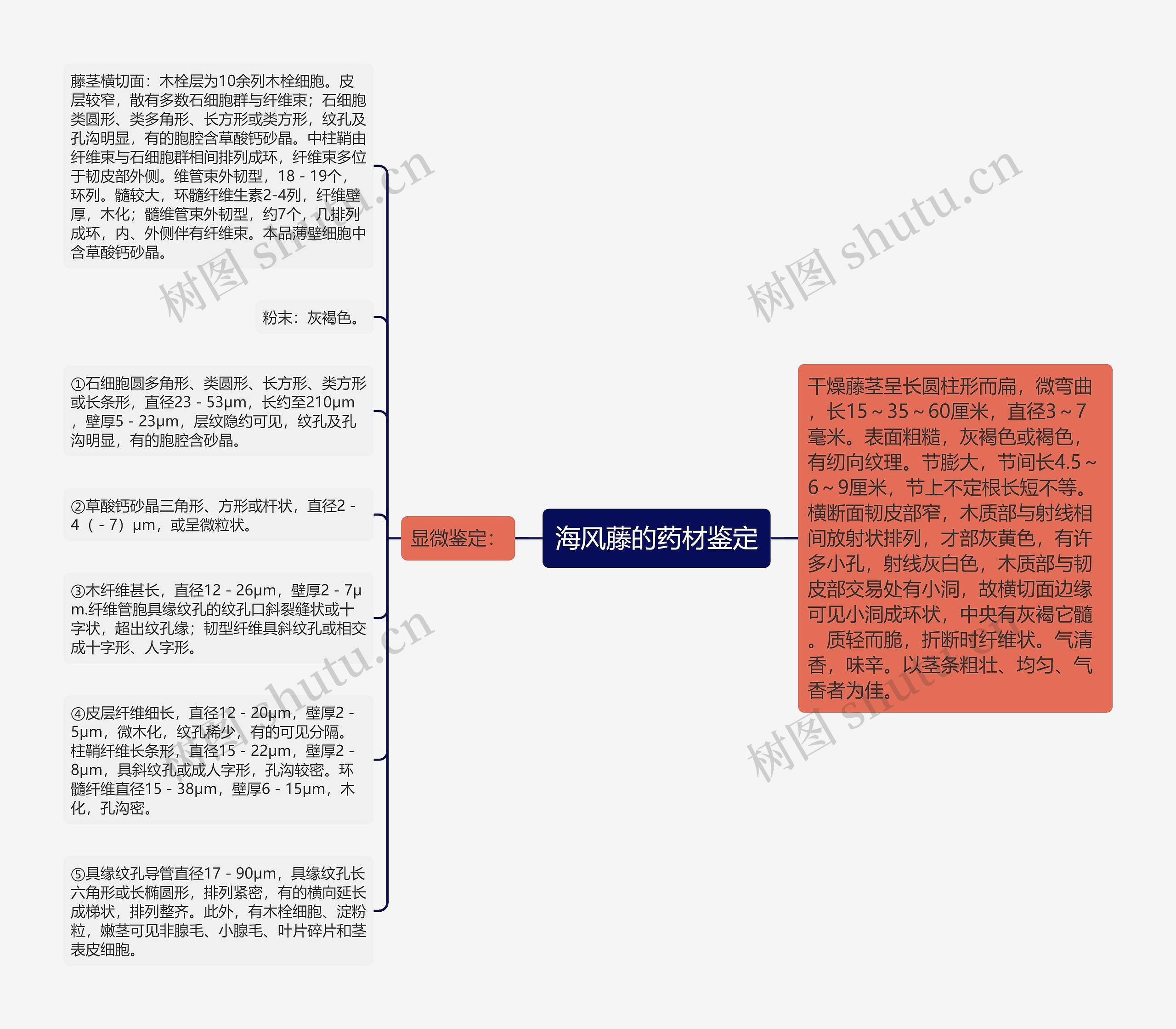 海风藤的药材鉴定思维导图