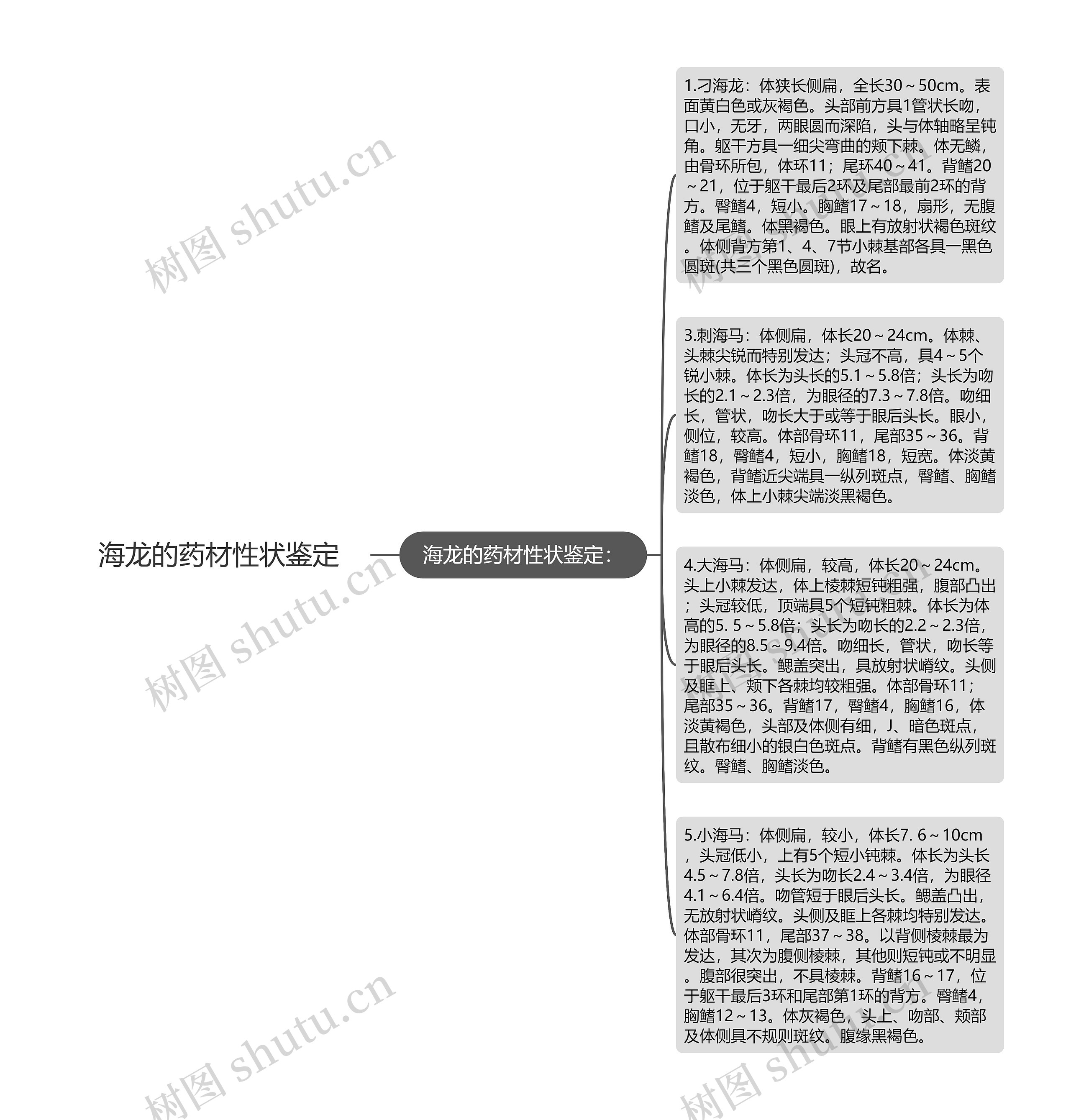 海龙的药材性状鉴定思维导图