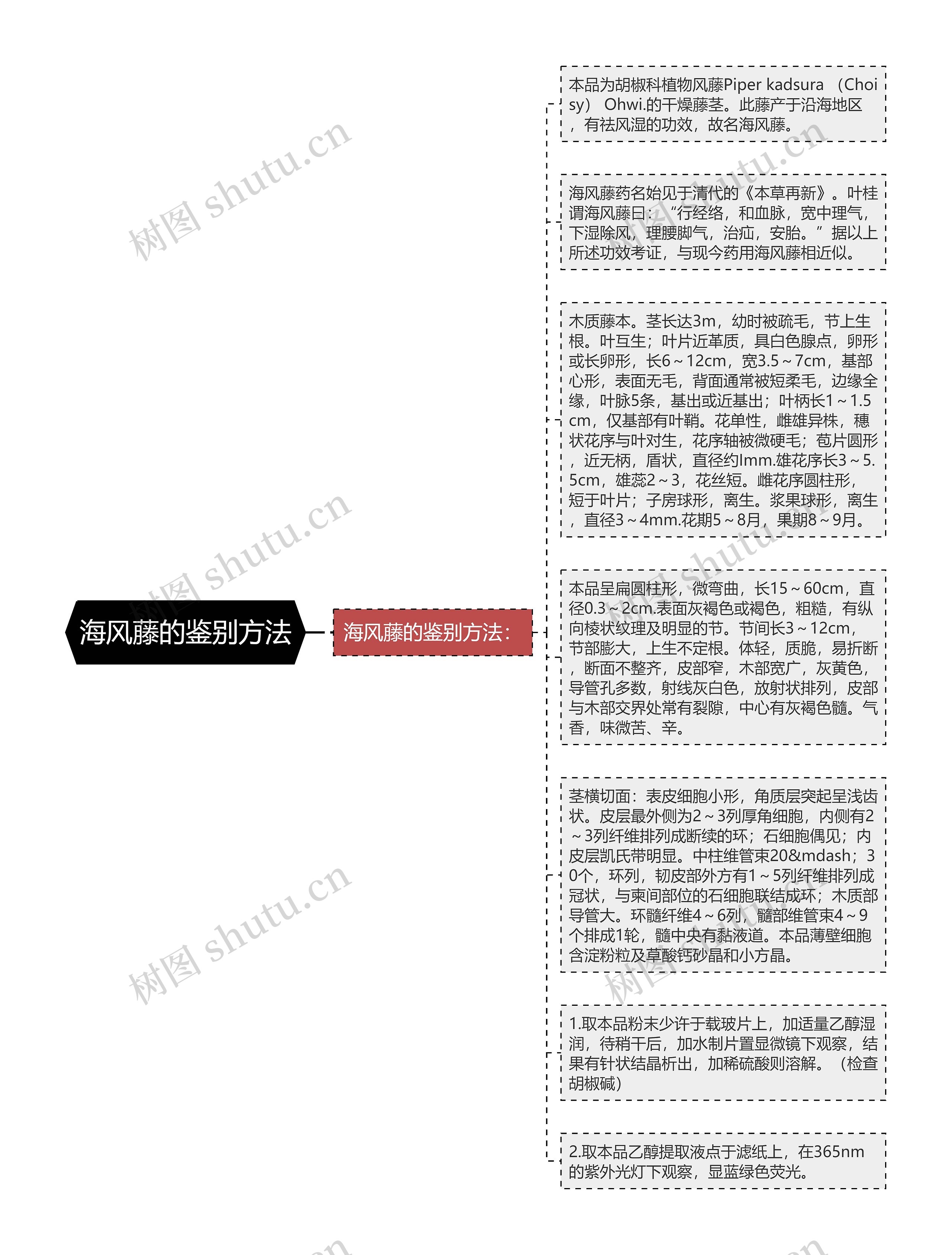 海风藤的鉴别方法思维导图