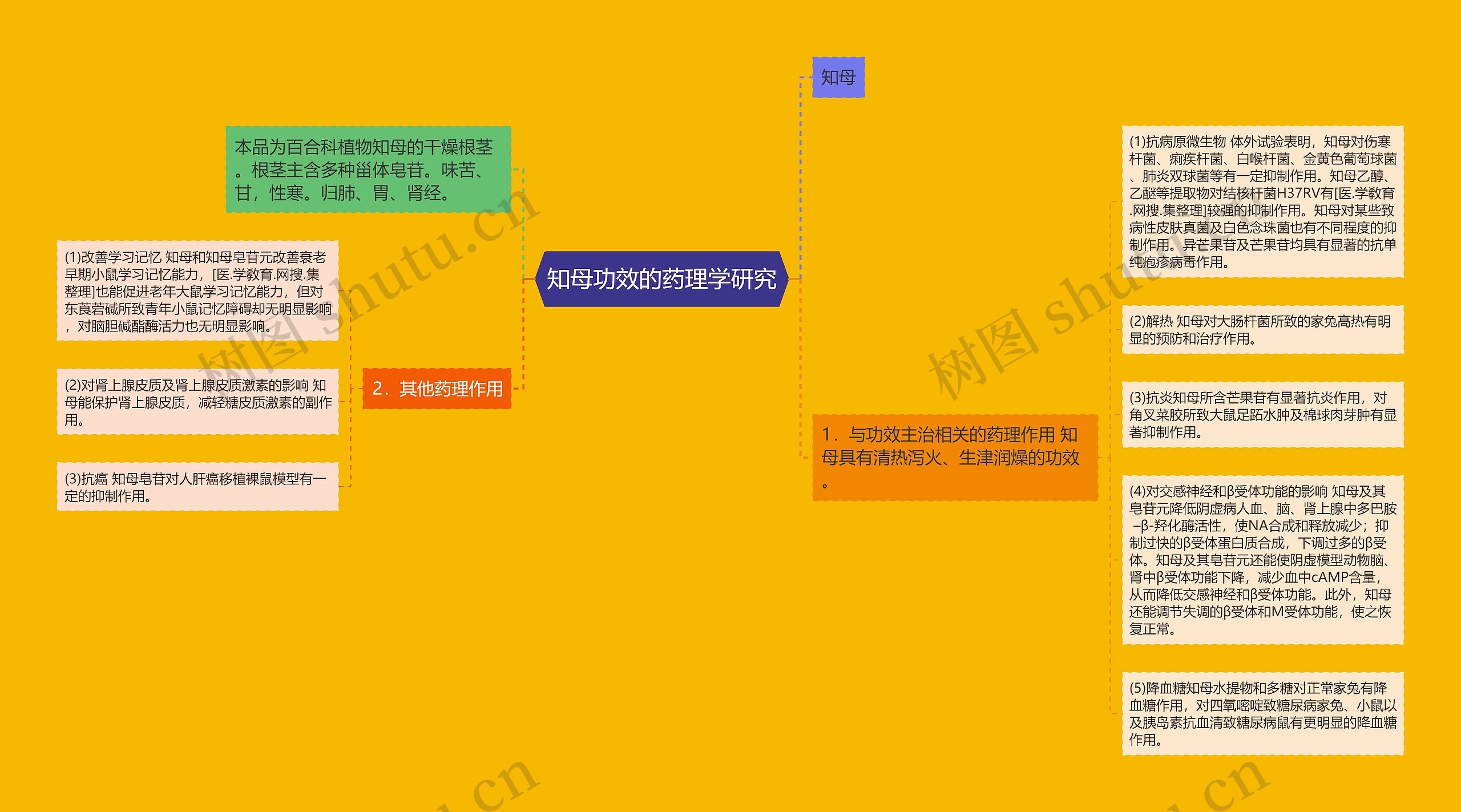 知母功效的药理学研究思维导图