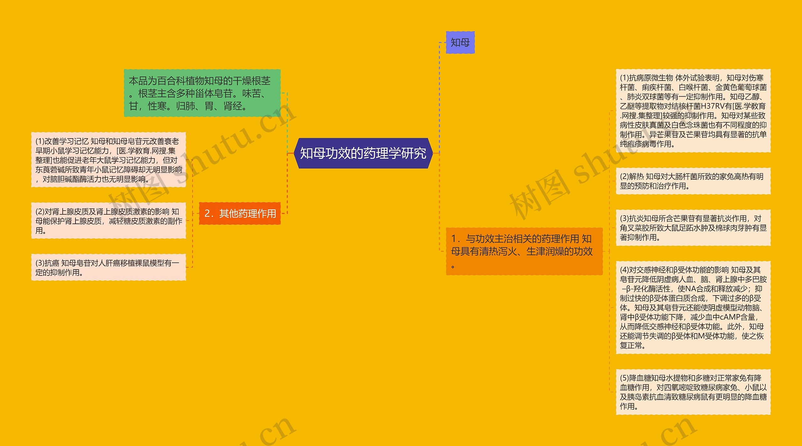 知母功效的药理学研究 知母功效的药理学研究