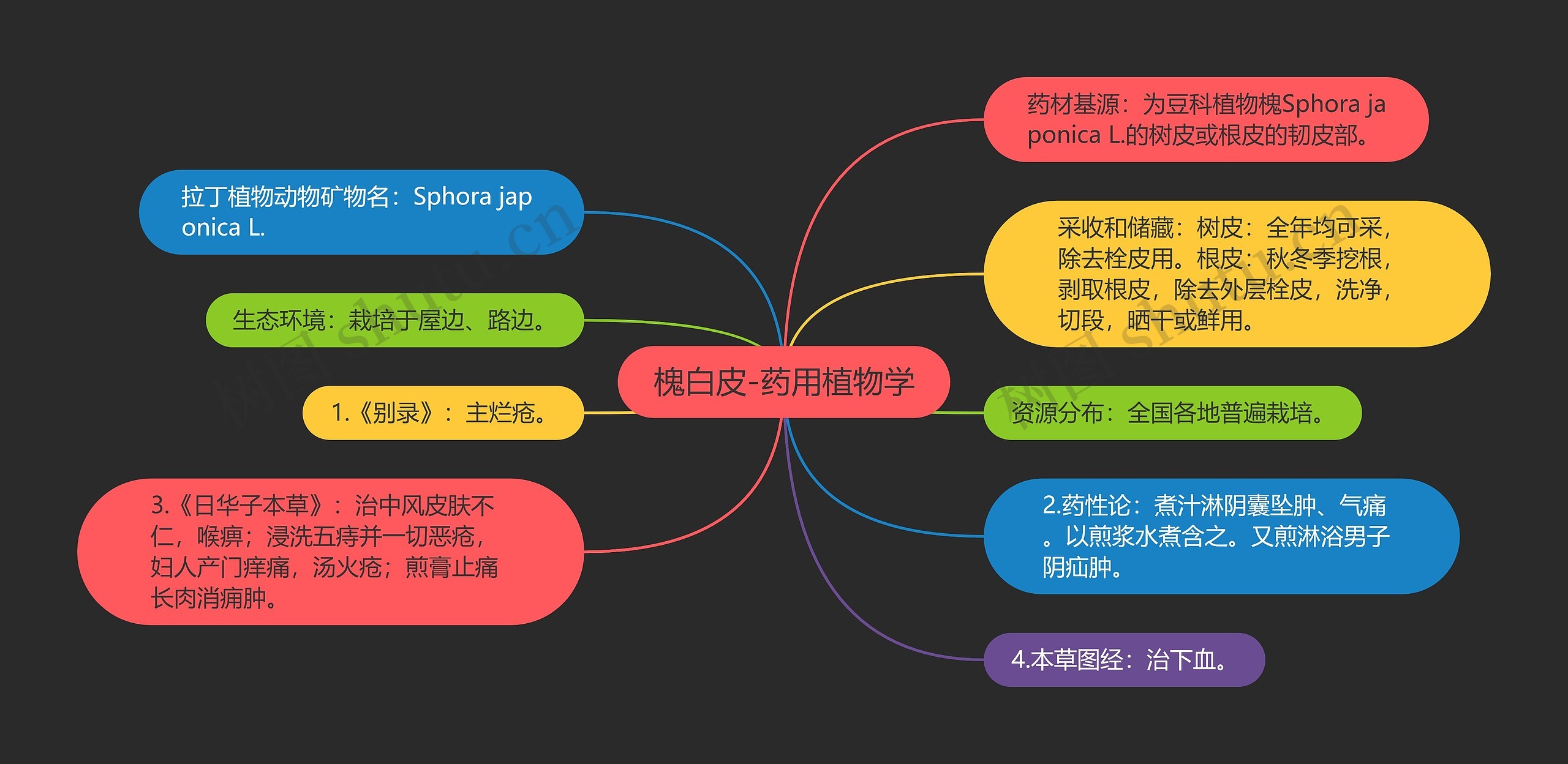 槐白皮-药用植物学思维导图