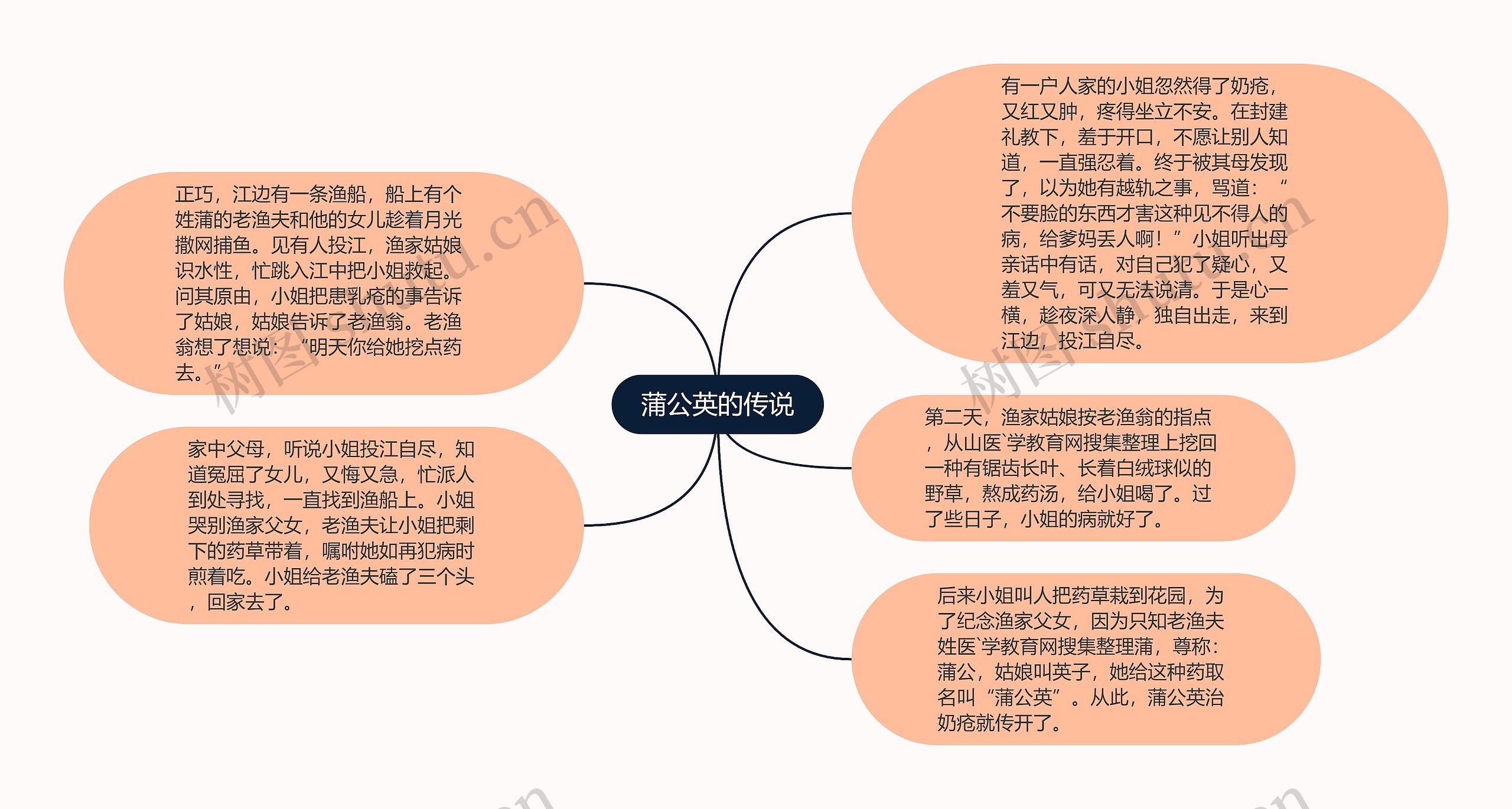 蒲公英的传说 蒲公英的传说
