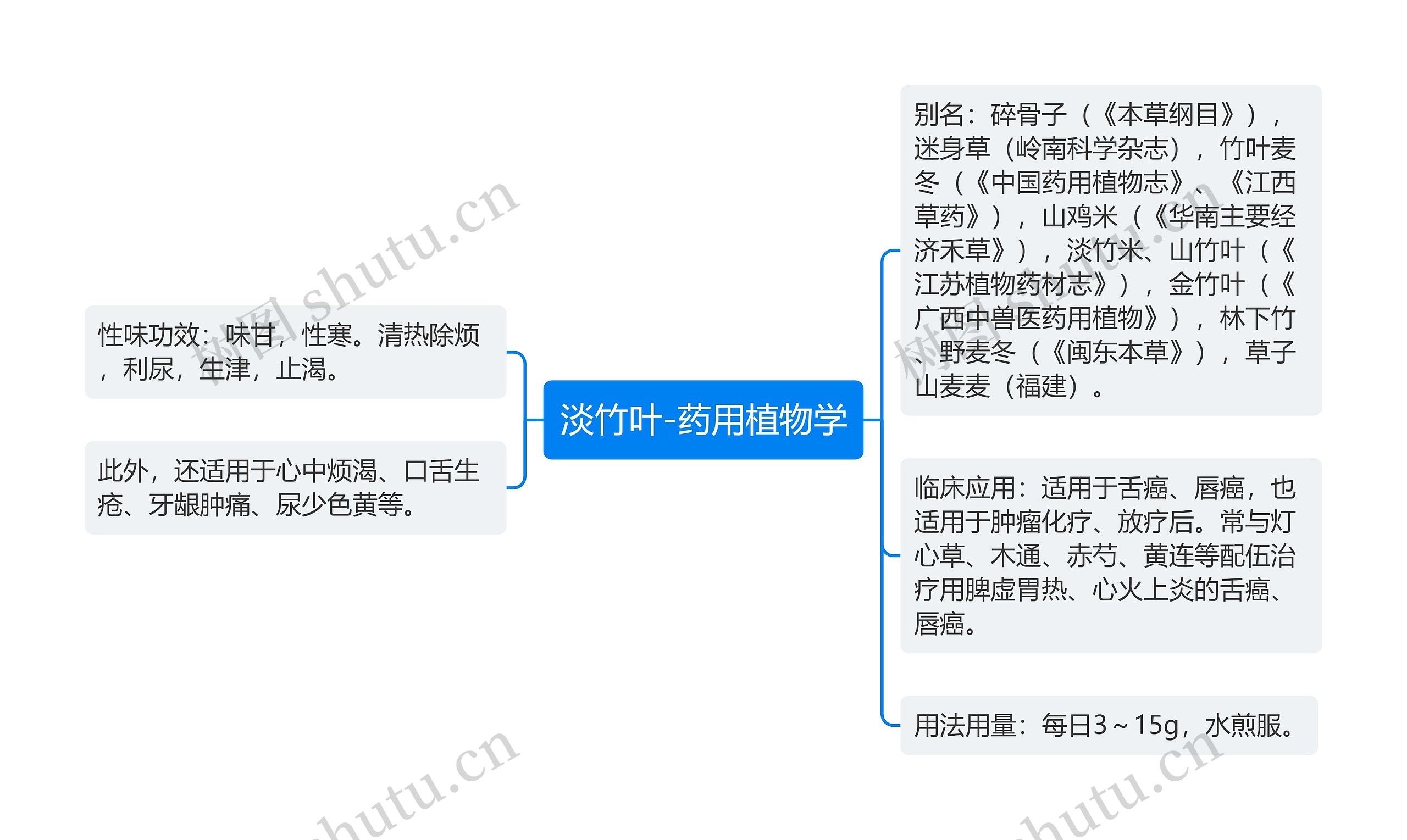 淡竹叶-药用植物学思维导图