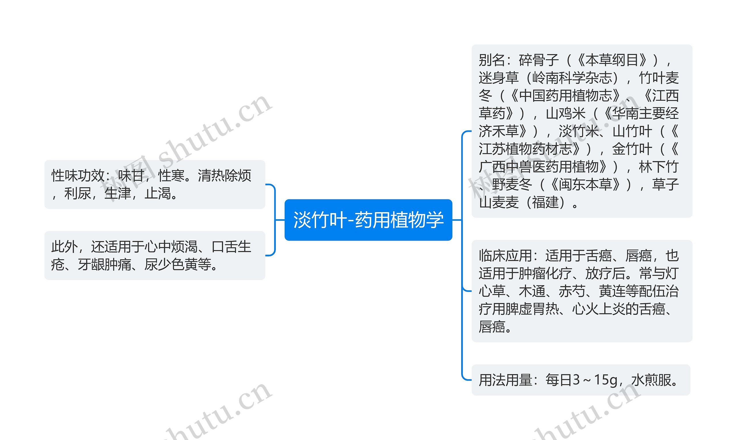 淡竹叶-药用植物学 淡竹叶-药用植物学