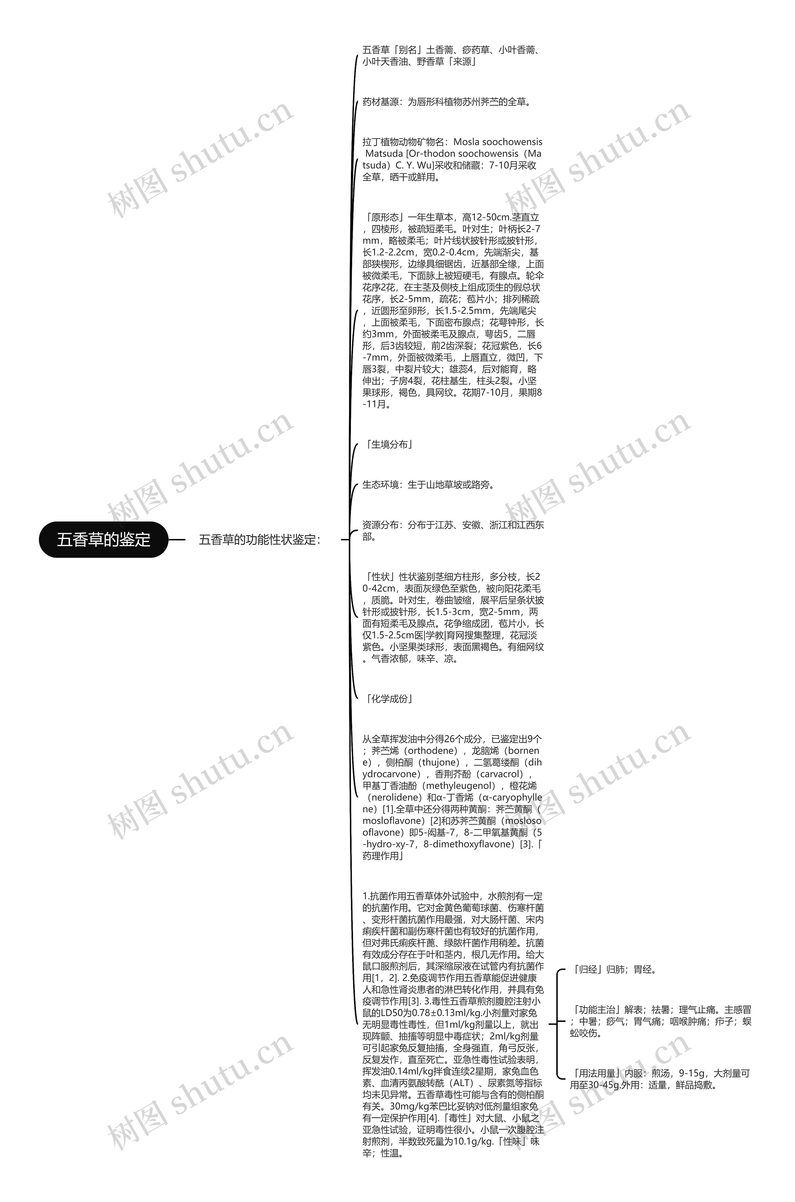 五香草的鉴定思维导图