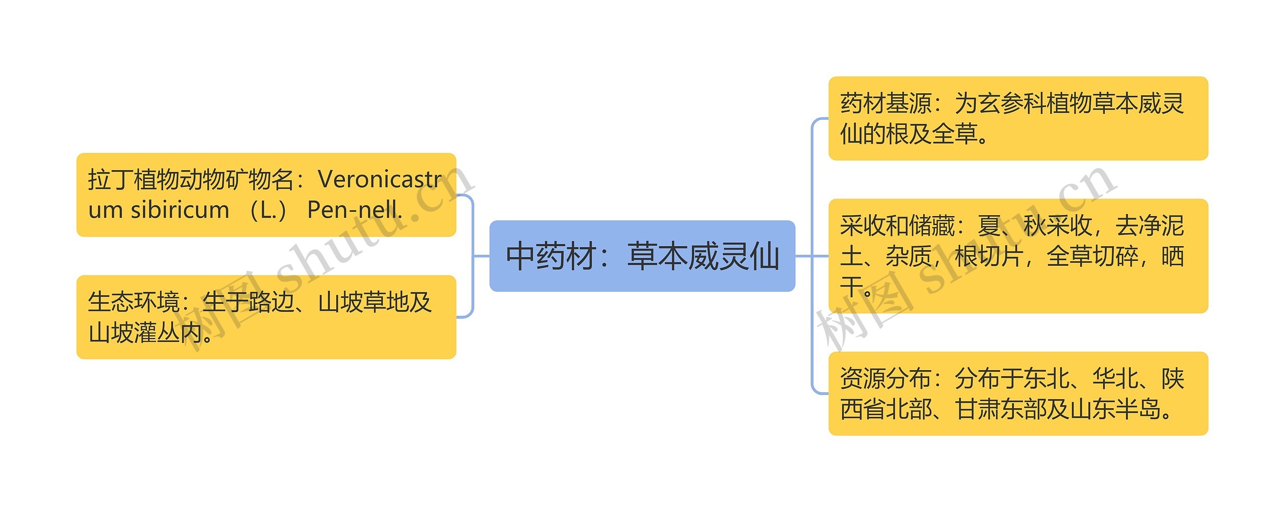 中药材：草本威灵仙